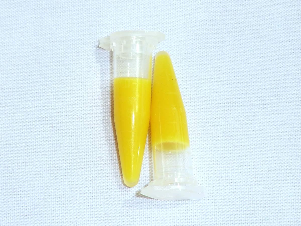 Keiki Paste Original 2ml - Orchids and Plant cloning Hormone with Cytokinin