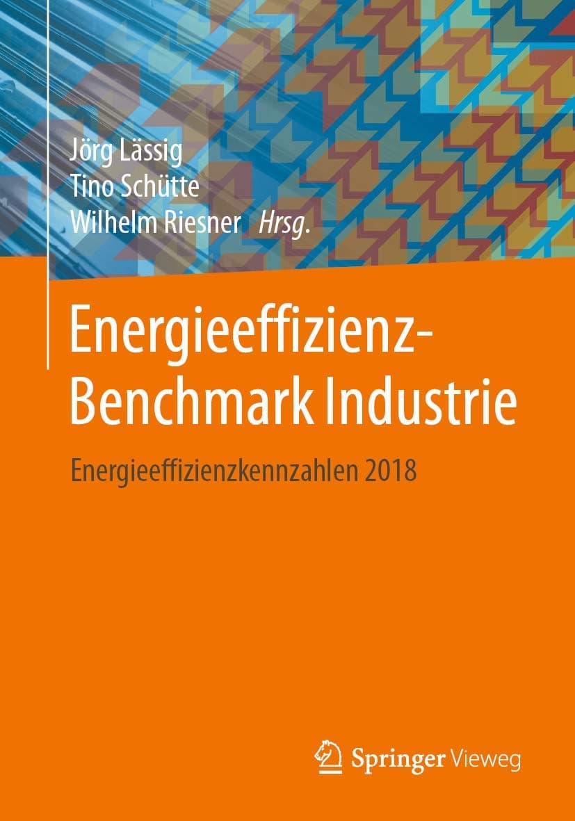 Energieeffizienz-Benchmark Industrie: Energieeffizienzkennzahlen 2018 Paperback – Import, 26 November 2020