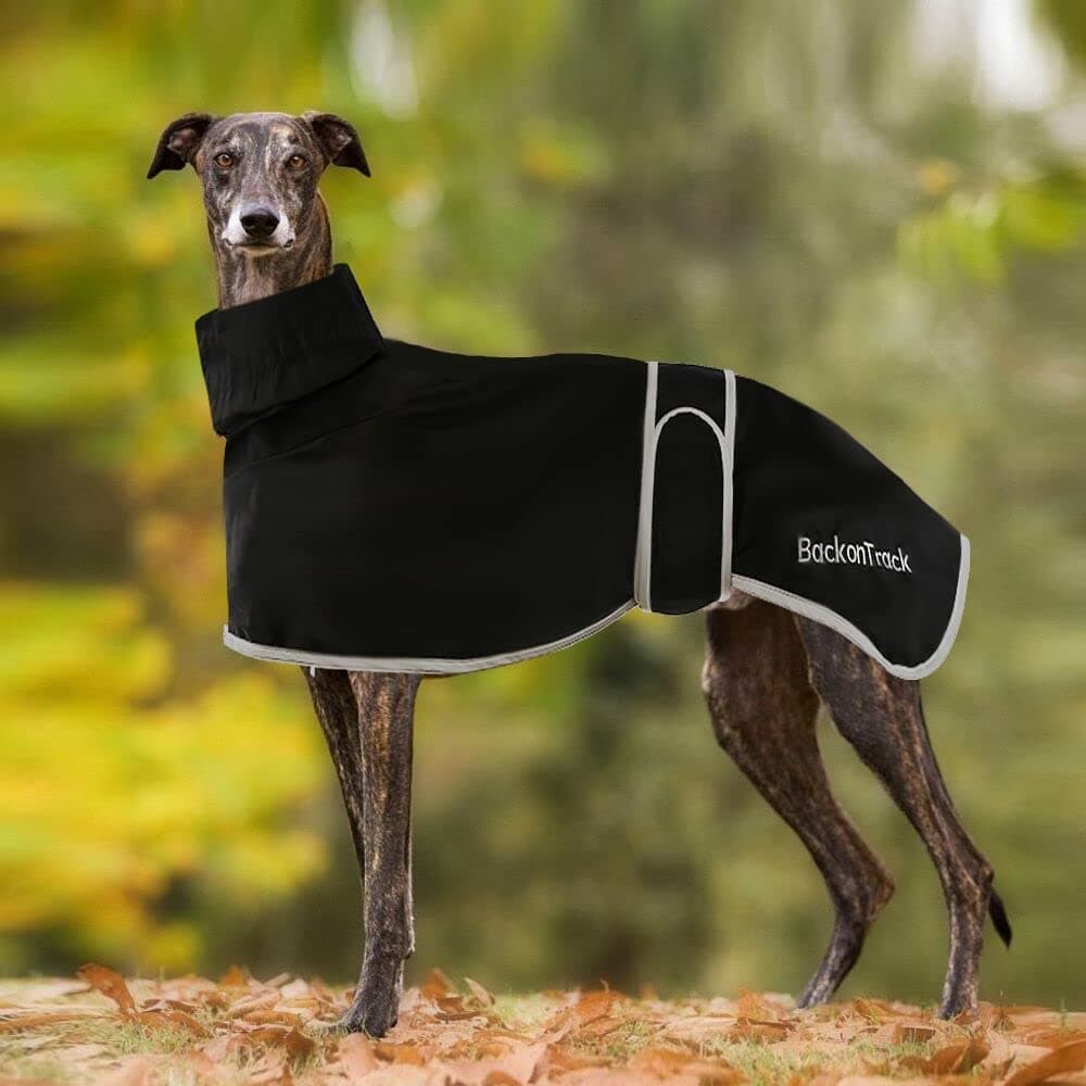 Greyhound Raincoat, Whippet Coat, Dogs Raincoats for Whippet, Whippet Dog Jacket Raincoat, Dog Waterproof Coats with Reflective Straps for Greyhound, Lurcher and Whippet for Medium, Large Dog - Black