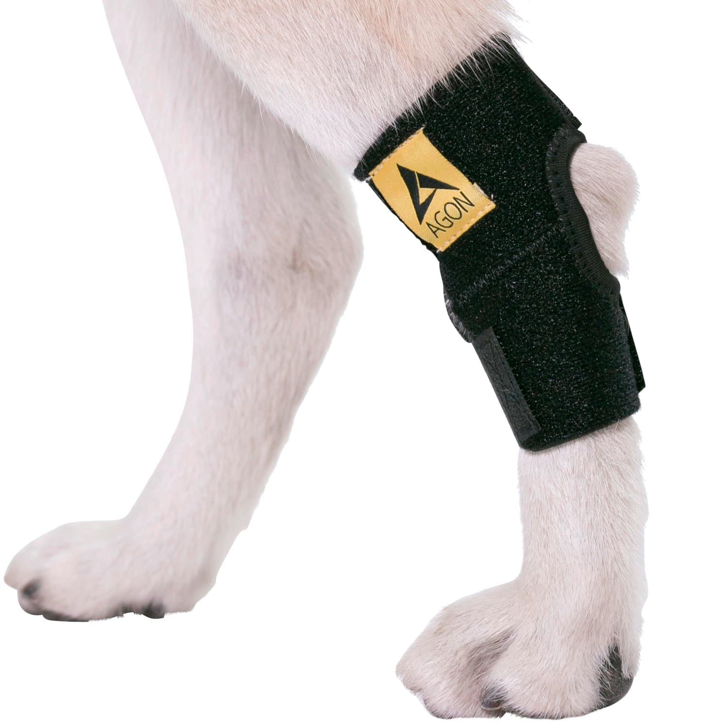 AGON® Dog Leg Braces for Back Leg wrap hock Compression Protects Wounds and Helps heal hind Legs Rear Ankle Joint, preventing Injuries, sprains Providing Stability for Dogs, Canines Arthritis (Small)