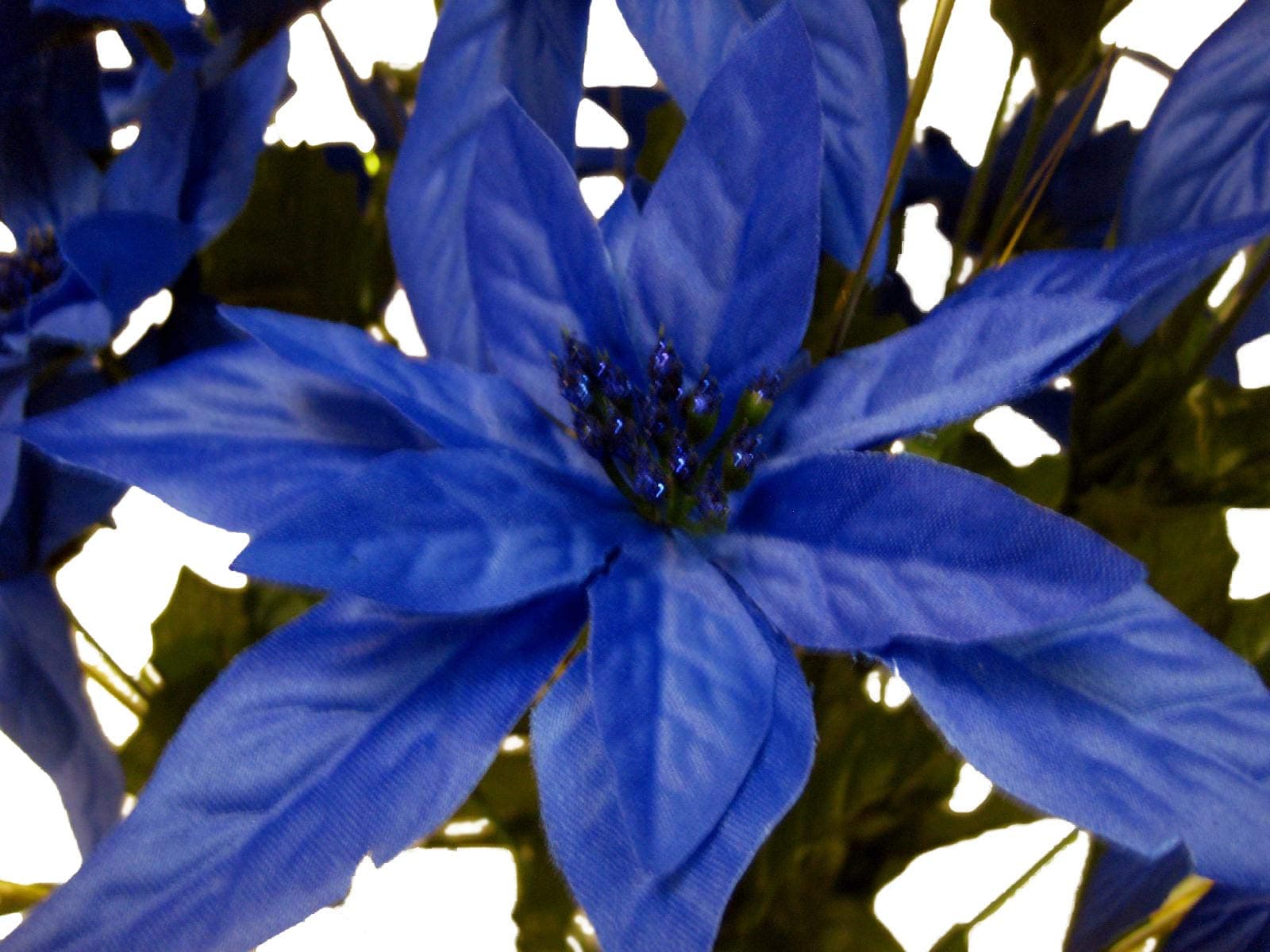 Navy Blue Christmas Poinsettia Bush 24 Artificial Silk Flowers 24" Bouquet 030NBL