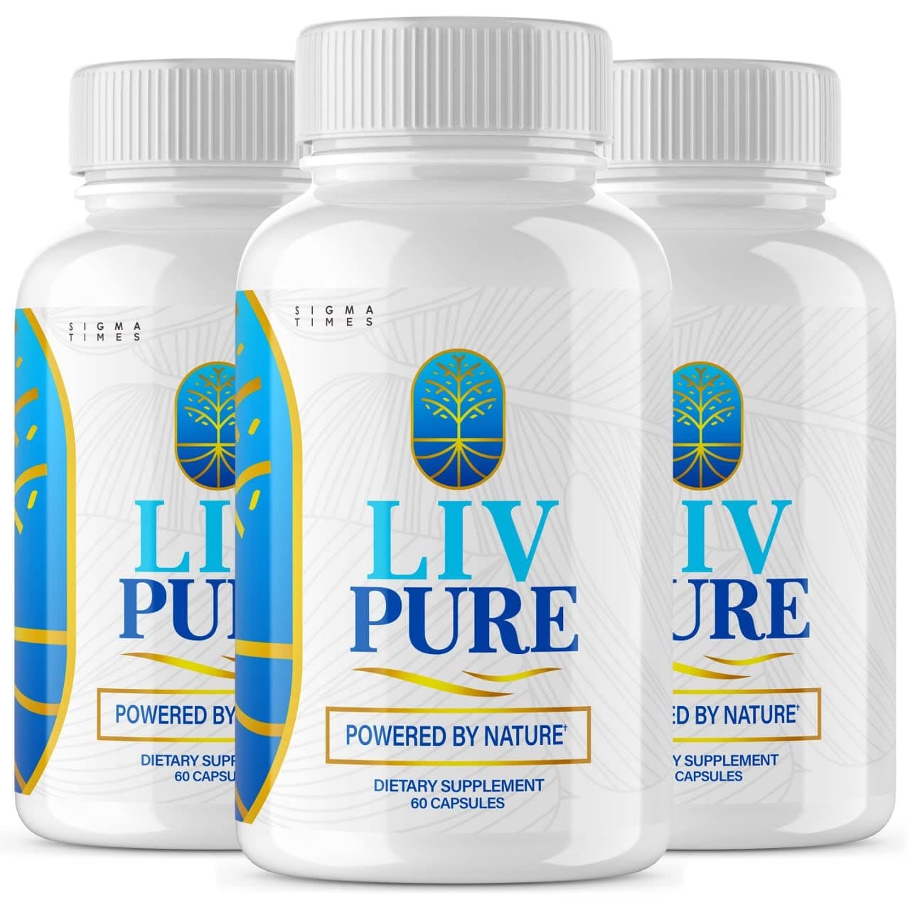 (3 Pack) Liv Pure - Liv Pure Capsules Powered by Nature Supplement for Liver Detox and Diet Hydration Purification LivPure Extra Strength Vegan Liv-Pure Liver Health Support & Clense (180 Capsules)