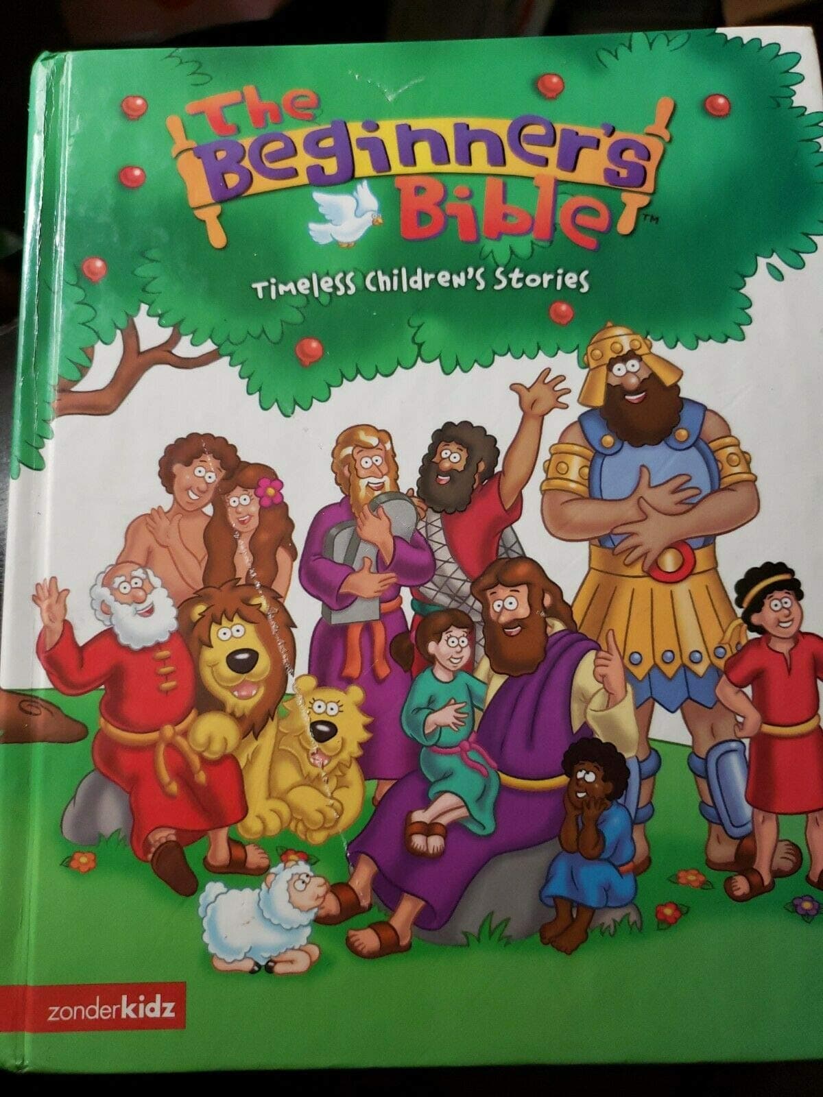 The Beginner's Bible: Timeless Children's Stories Hardcover – January 31, 2005