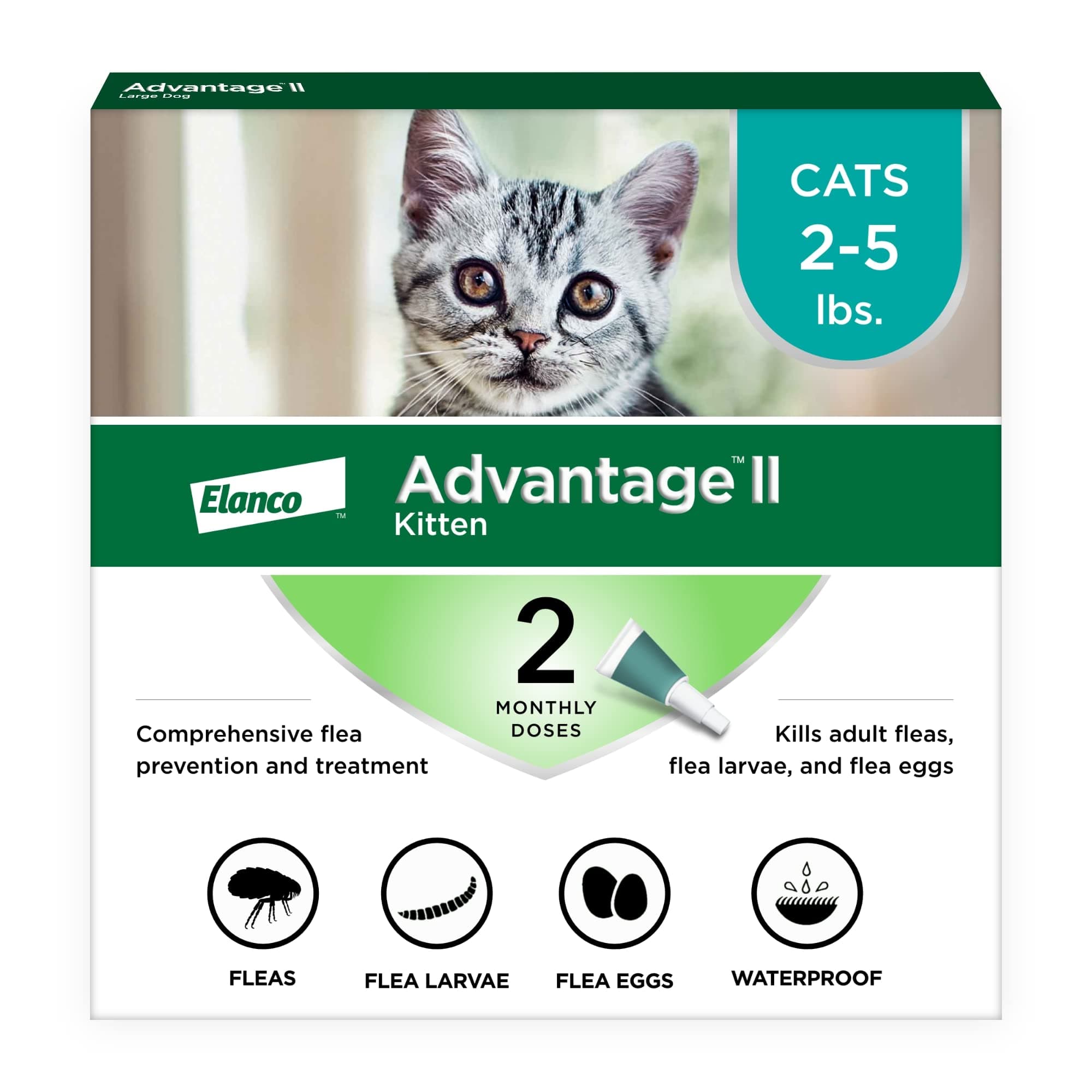 - II Kitten Vet-Recommended Flea Treatment & Prevention | Cats 2-5 lbs. | 2-Month Supply