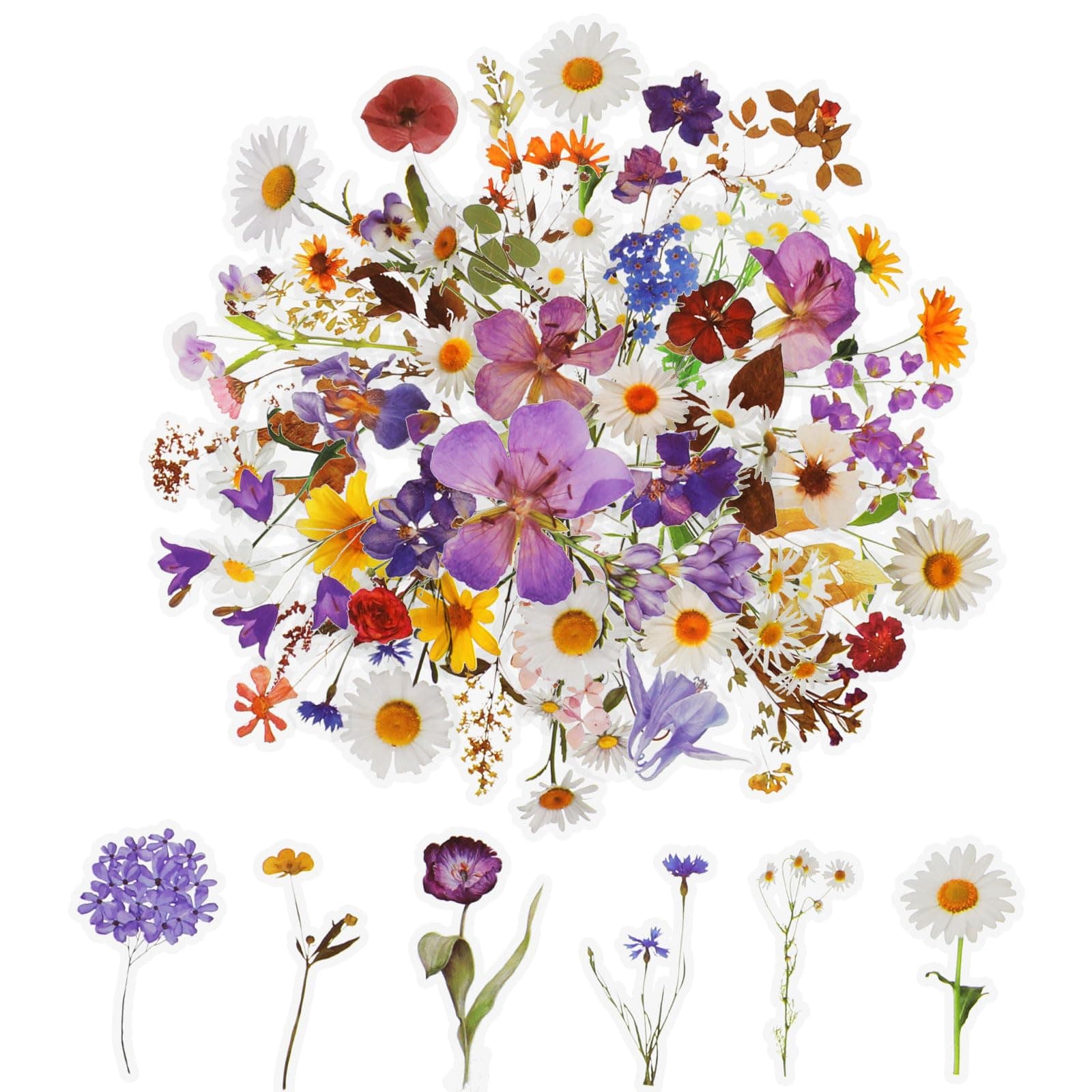 120Pcs Flower Stickers for Scrapbooking,Natural Flowers Aesthetic Scrapbook Stickers, Transparent Floral Stickers Set for Scrapbook Supplies,Craft, Card, Laptop, (60 Styles)