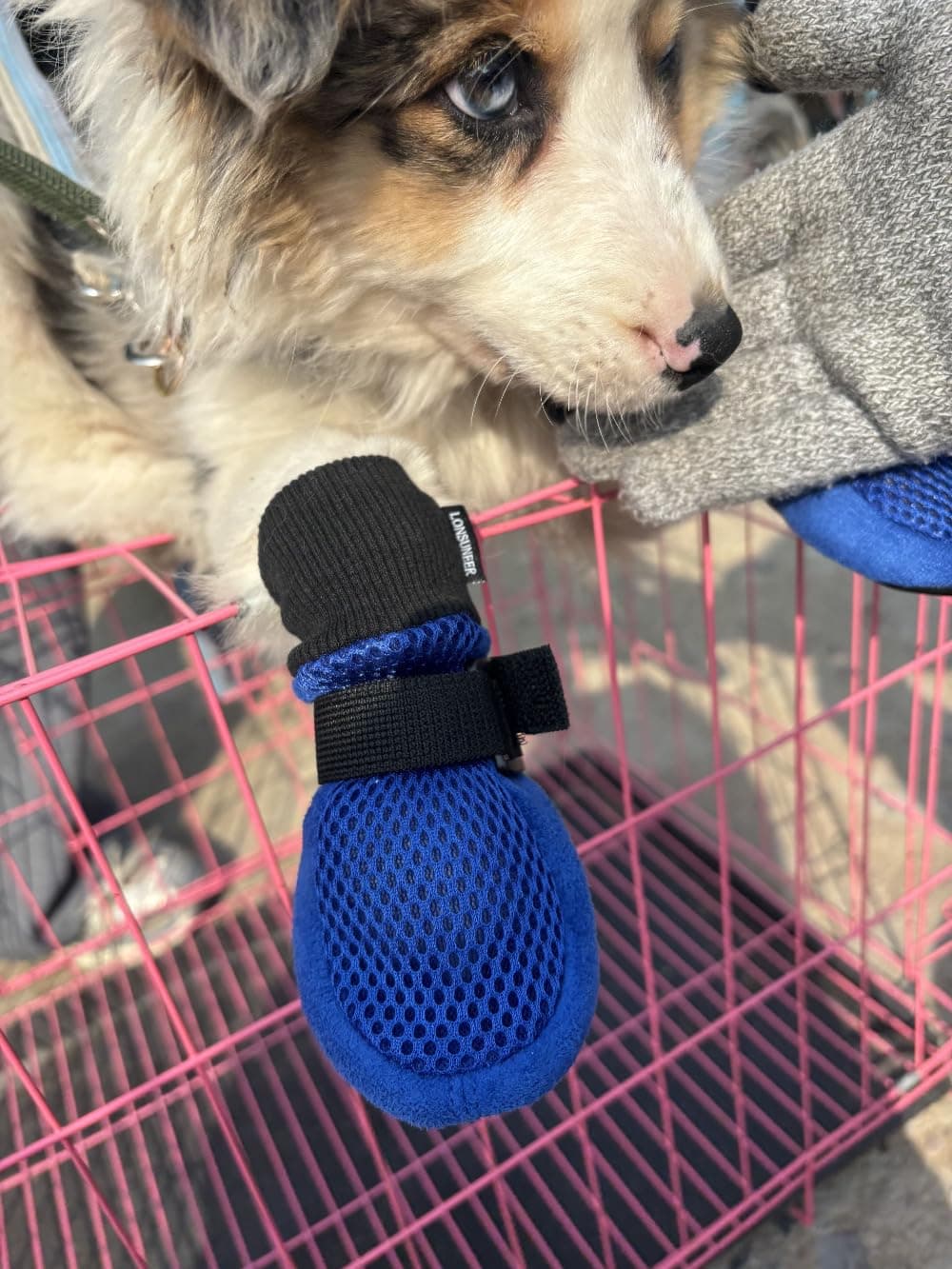 Dog Shoes for Small Dogs, Booties Soft and Lightweight with Breathability, Dog Boots for Spring Summer and Fall Set of 4 Size X-Small Color Blue