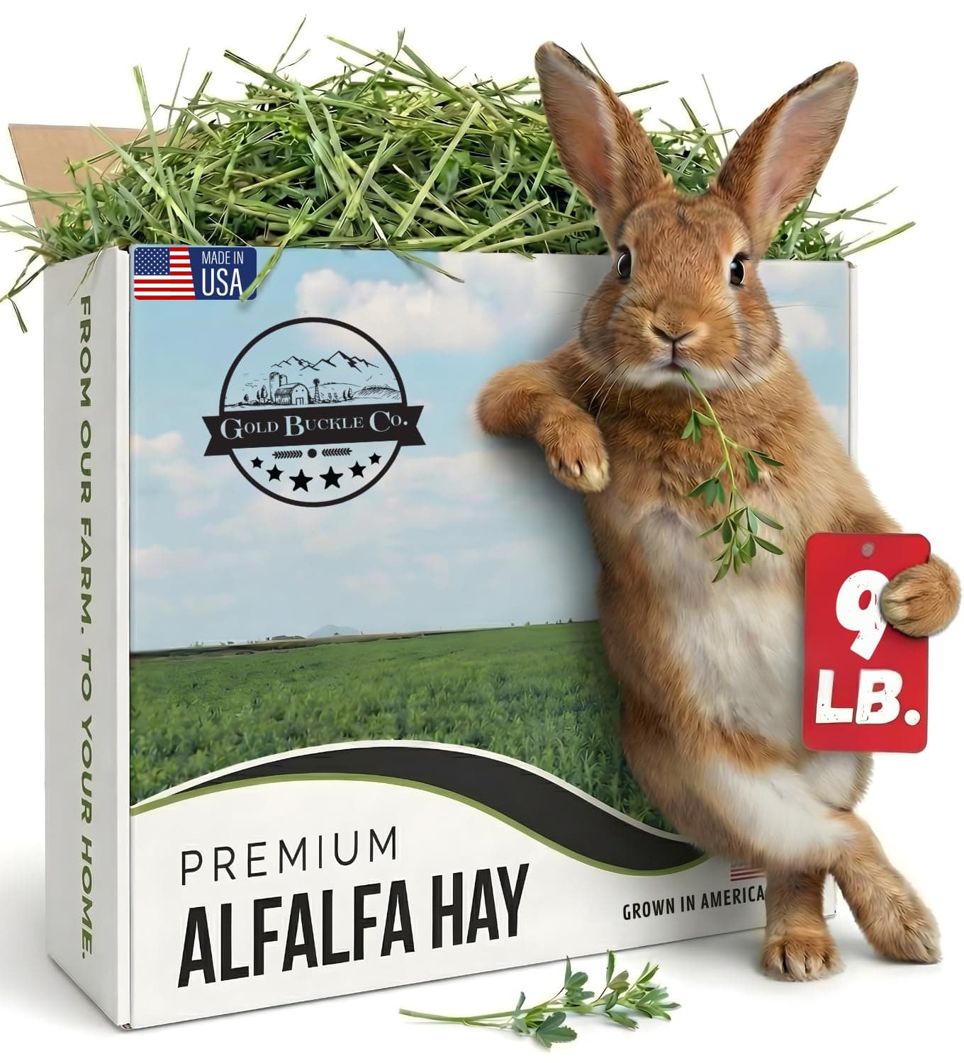 Co 9lb Farm Fresh Alfalfa Hay for Rabbits, Guinea Pigs, Chinchillas, Goats, Hamsters & Ferrets - Organic Small Animal Food Rich in Protein & Fiber - Fresh Dried, Hand-Selected, USA Grown