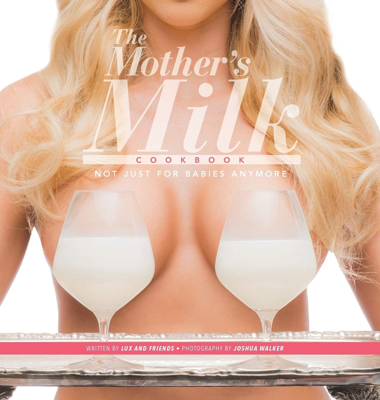 The Mother's Milk Cookbook: The Official Breast Milk Cookbook Hardcover – 9 July 2015