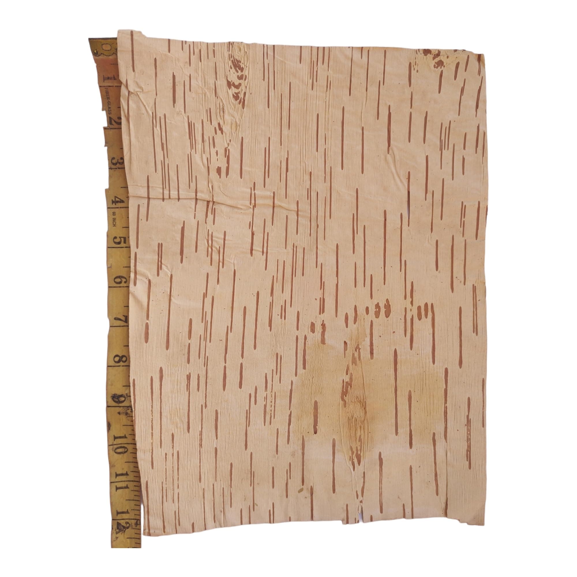 Bhojpatra Betula Birch Betula Bark 2 pcs (Big Size= 12 x 9 inch) Bhojpatra Sheets Writing Sacred Mantras(, Natural