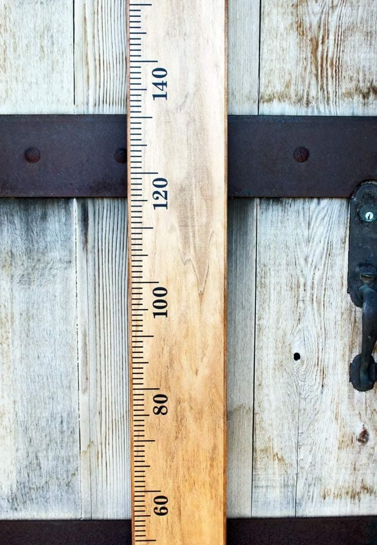 Little Acorns Metric DIY Vinyl Growth Chart Ruler Decal Kit