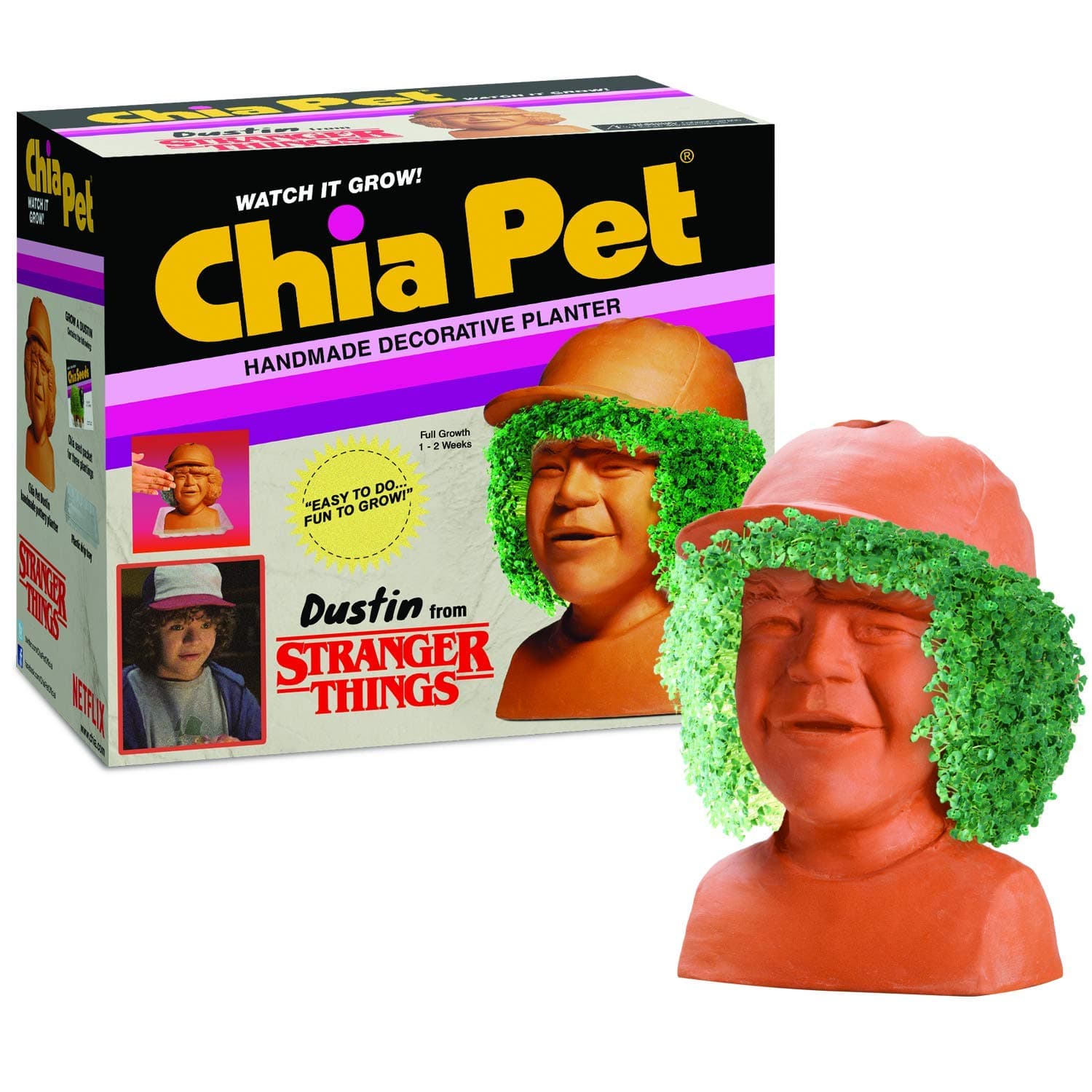 Stranger Things Chia Pet Dustin Decorative Pottery Planter