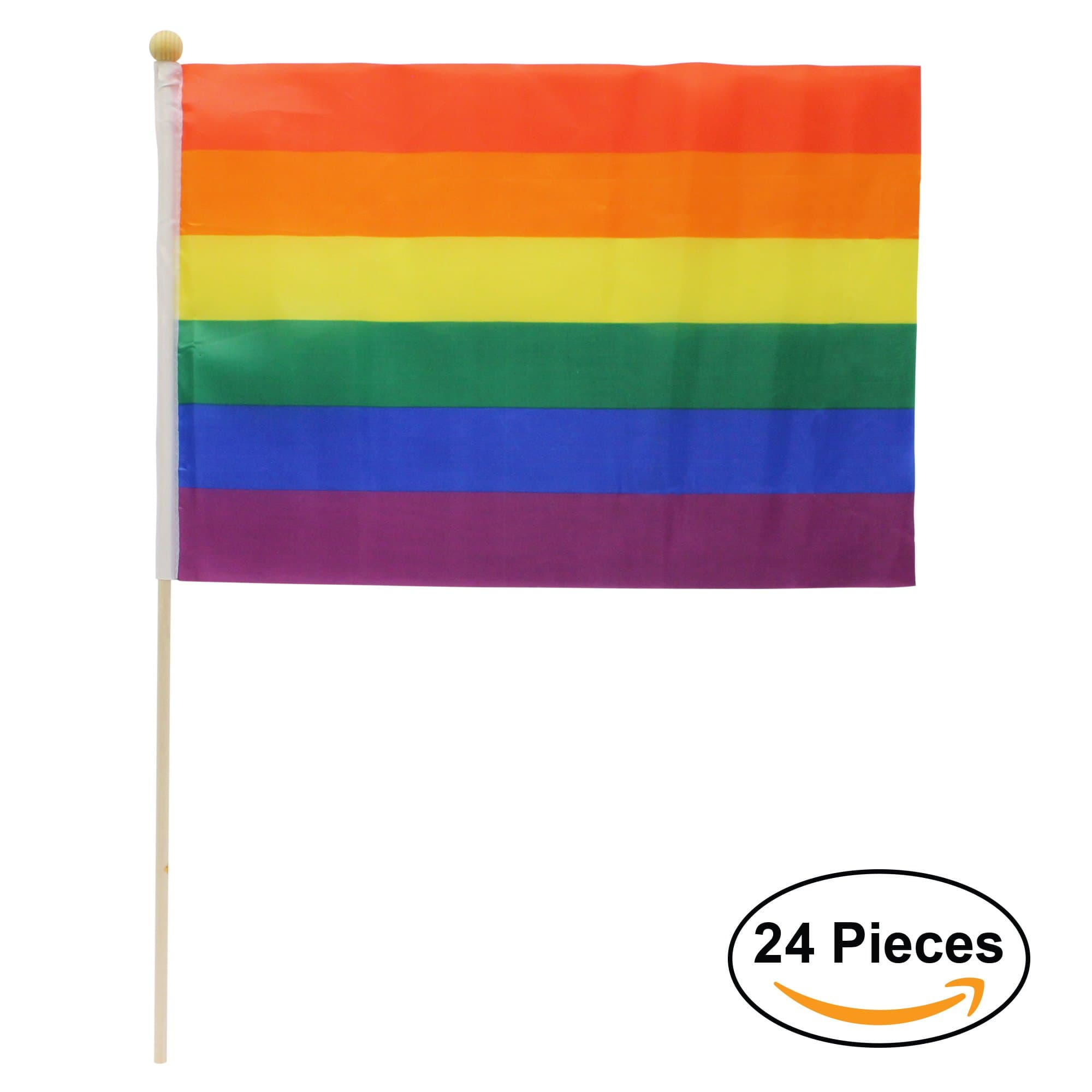 Gay Pride Rainbow Flags - 12" x 18" (24 Pack)