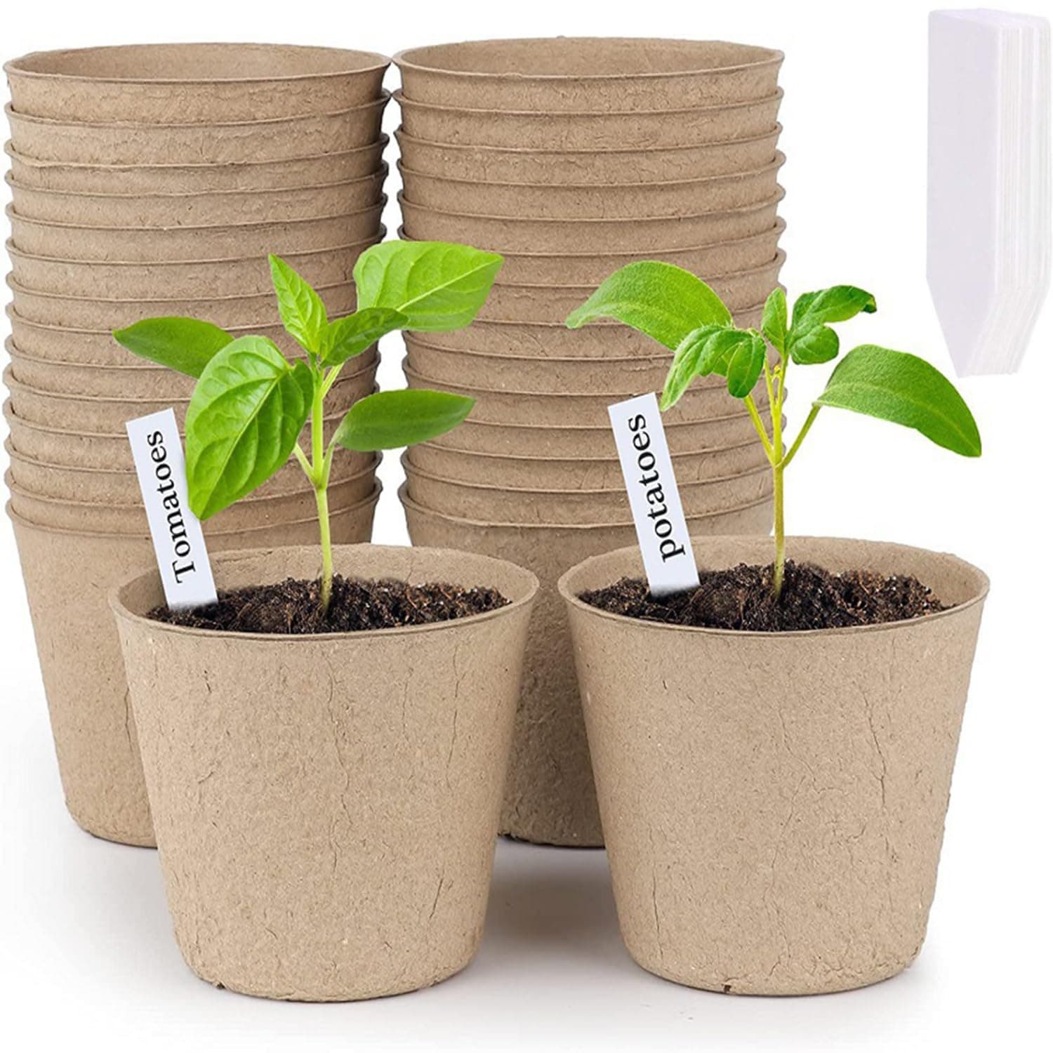 50 Pcs Fibre Plant Pots Round Seedling Pots Planting Cups with 50 Pcs Plastic Labels for Growing Vegetables Flower Fruit Herb Cuttings Garden Transplant Plants (8CM)