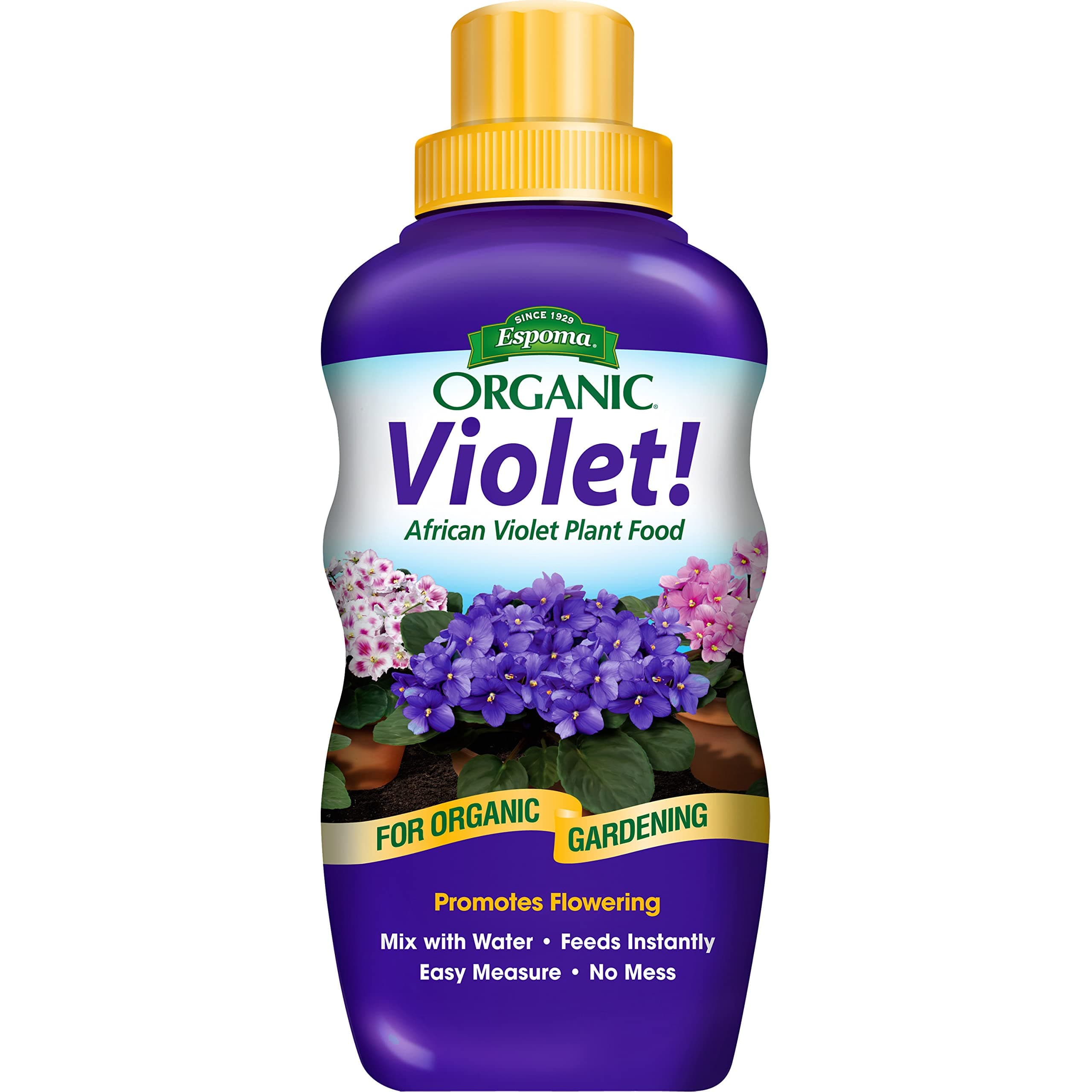 Espoma Organic Violet! 8-Ounce Concentrated Plant Food – Plant Fertilizer and Bloom Booster for All Violets and Indoor Flowering Plants. Promotes Vigorous Growth and Blooming.
