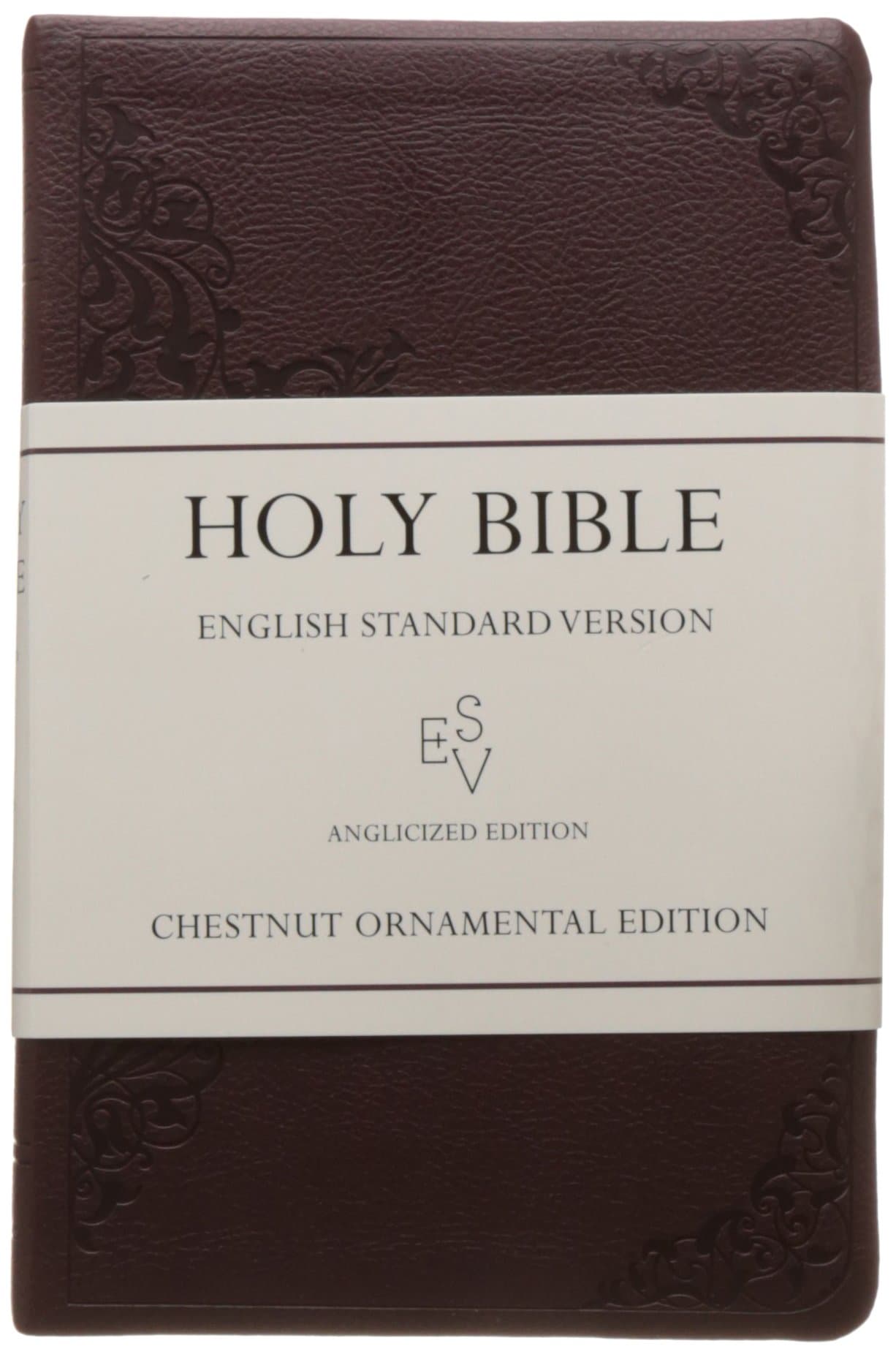 Holy Bible: English Standard Version (ESV) Anglicised Chestnut Ornamental Thinline edition (Bible Esv) Imitation Leather – 24 June 2010