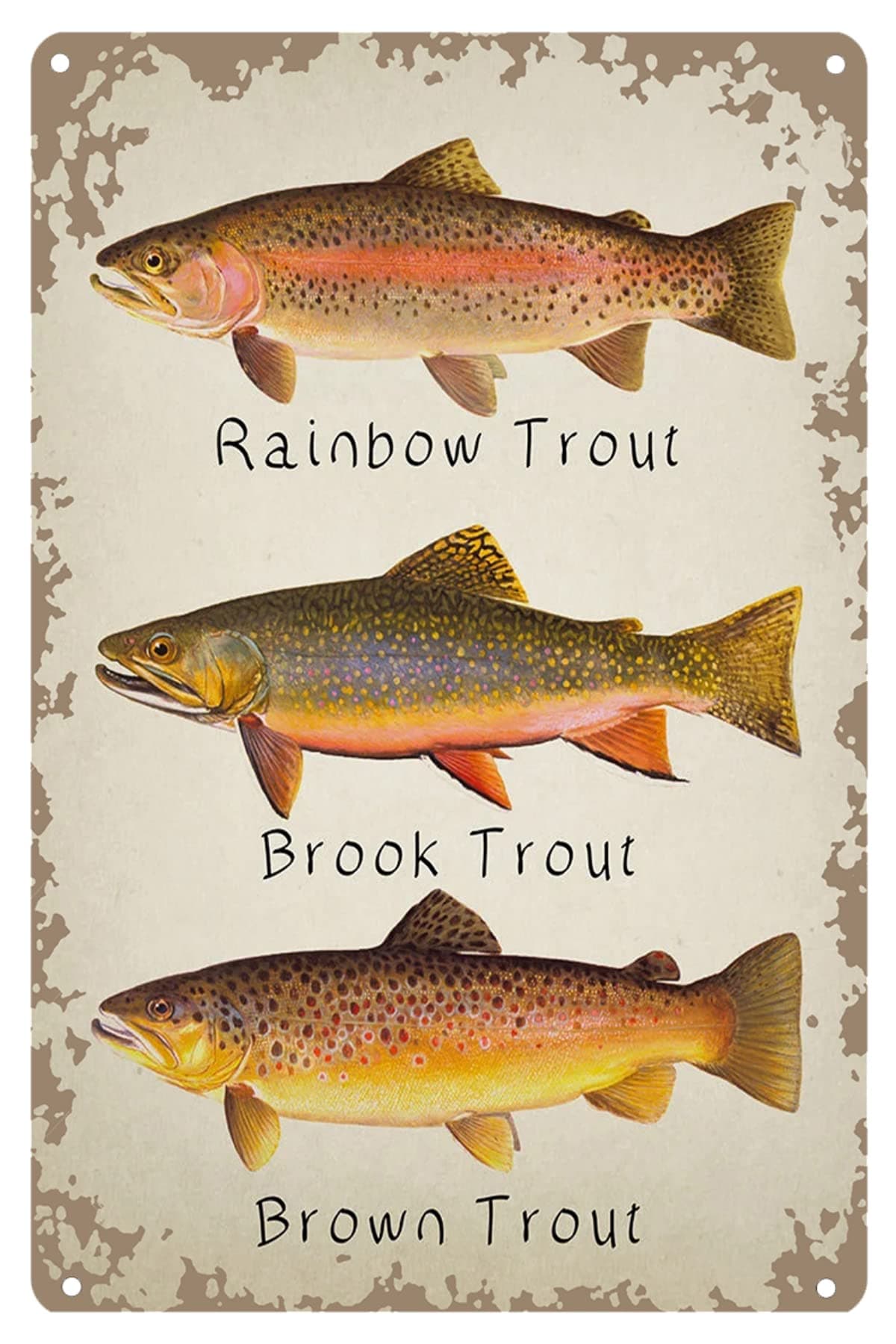 Vintage Metal Tin Sign Funny Rainbow Trout Brook Trout Brown Trout Poster Retro Metal Sign Wall Art Perfect For Home Bar Restaurant Store Wall Decoration 8x12 Inch