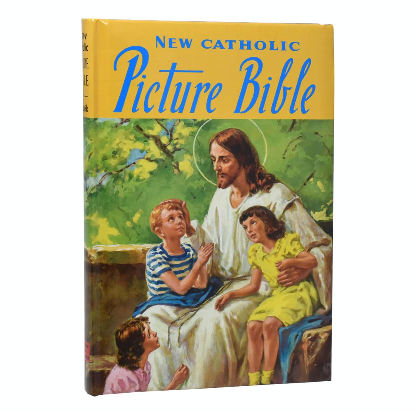 New Catholic Picture Bible: Popular Stories from the Old and New Testaments