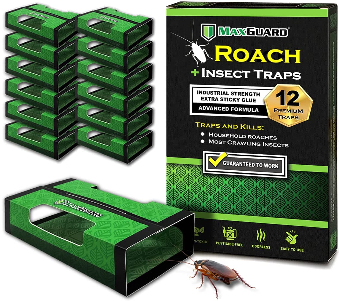 MaxGuard Cockroach + Spider Trap (12 Box Traps) | Non-toxic Extra Sticky Box Traps | Catch and Kill the House of German Cockroaches, American and Oriental Cockroaches and Bugs