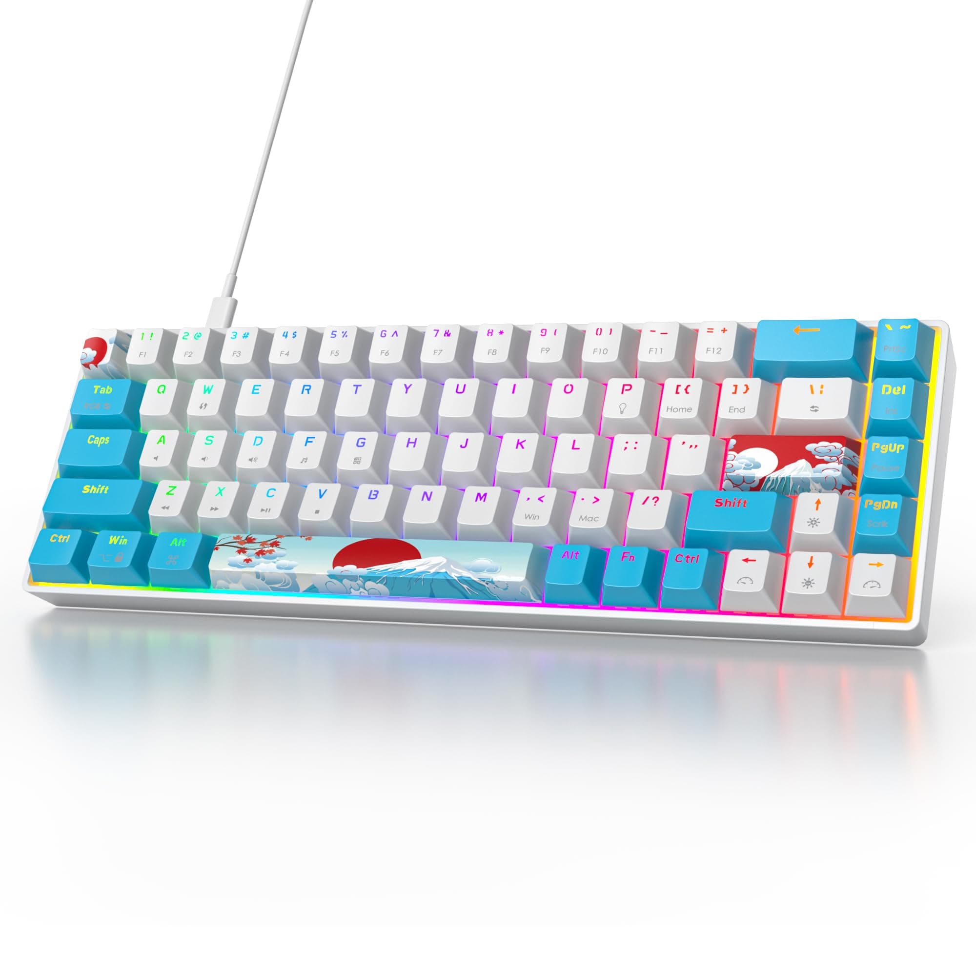 Owpkeenthy Portable 60% Mechanical Gaming Keyboard, Ultra Compact RGB Wired 65 Percent Mini Office Keyboard Backlit with Red Switch for PC/PS5/XBOX(Blue/ 68 Red Switch)