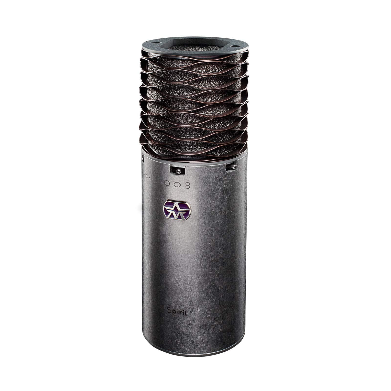 Multi-Pattern Condenser Microphone