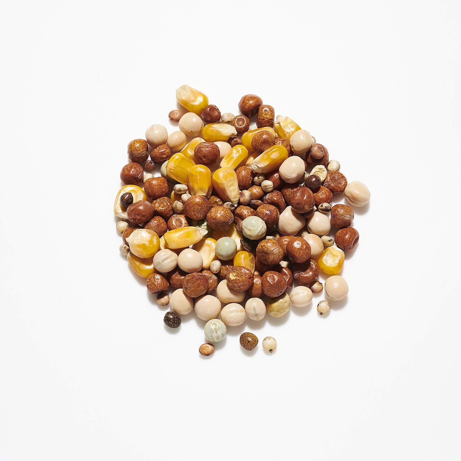 Willsbridge Pigeon Irish Champion Mix Bird Food, clear