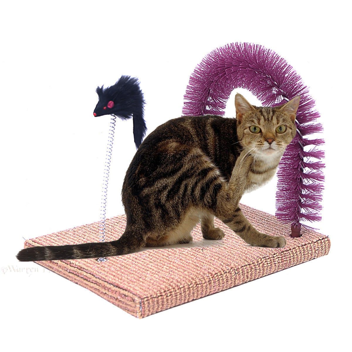 Cat Scratching Post Arch Self Groomer and Massage Durable Bristles with Mouse Moving Cats Toy
