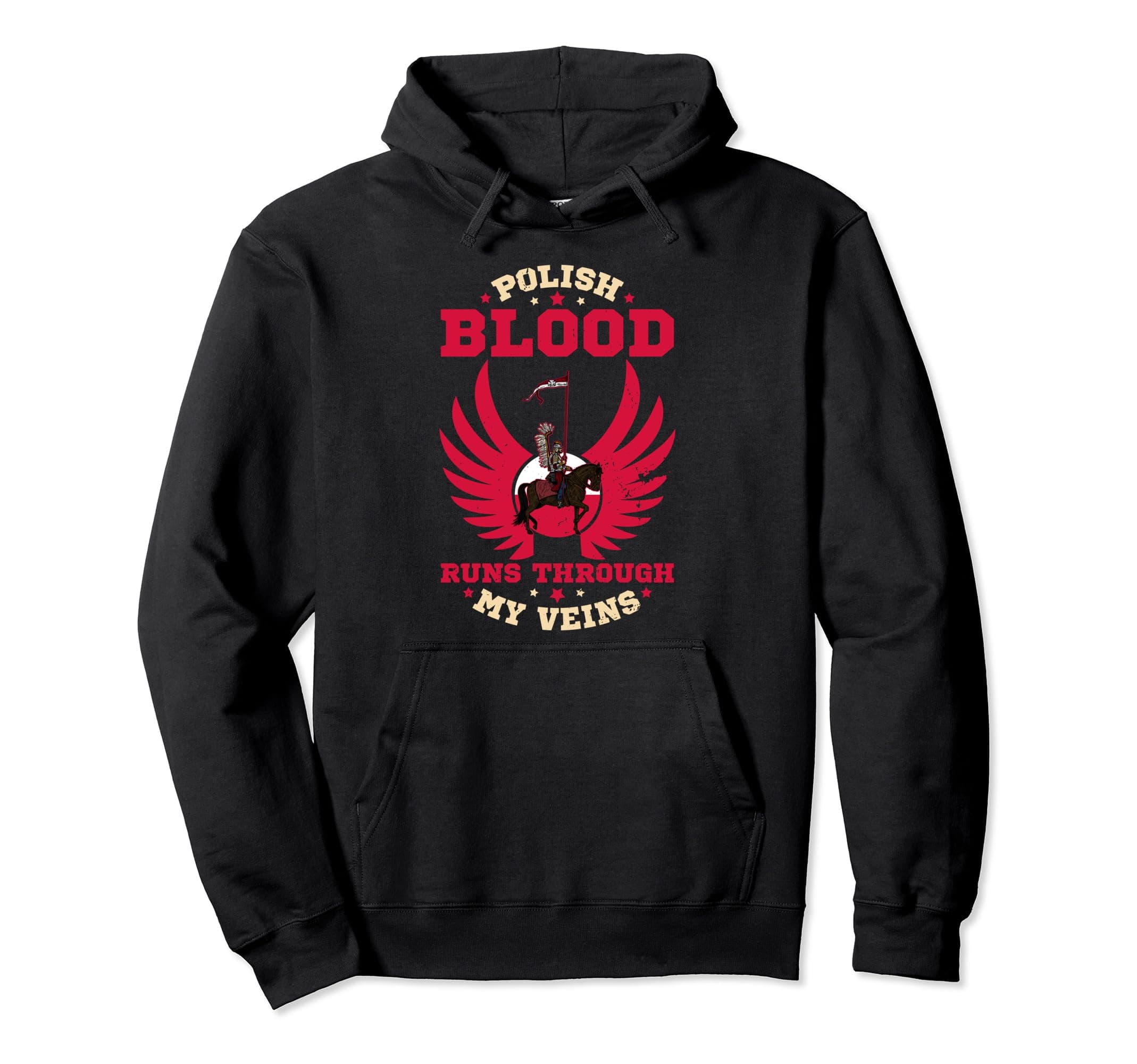Polish hussar husaria winged polska medieval hussaria helmet Pullover Hoodie
