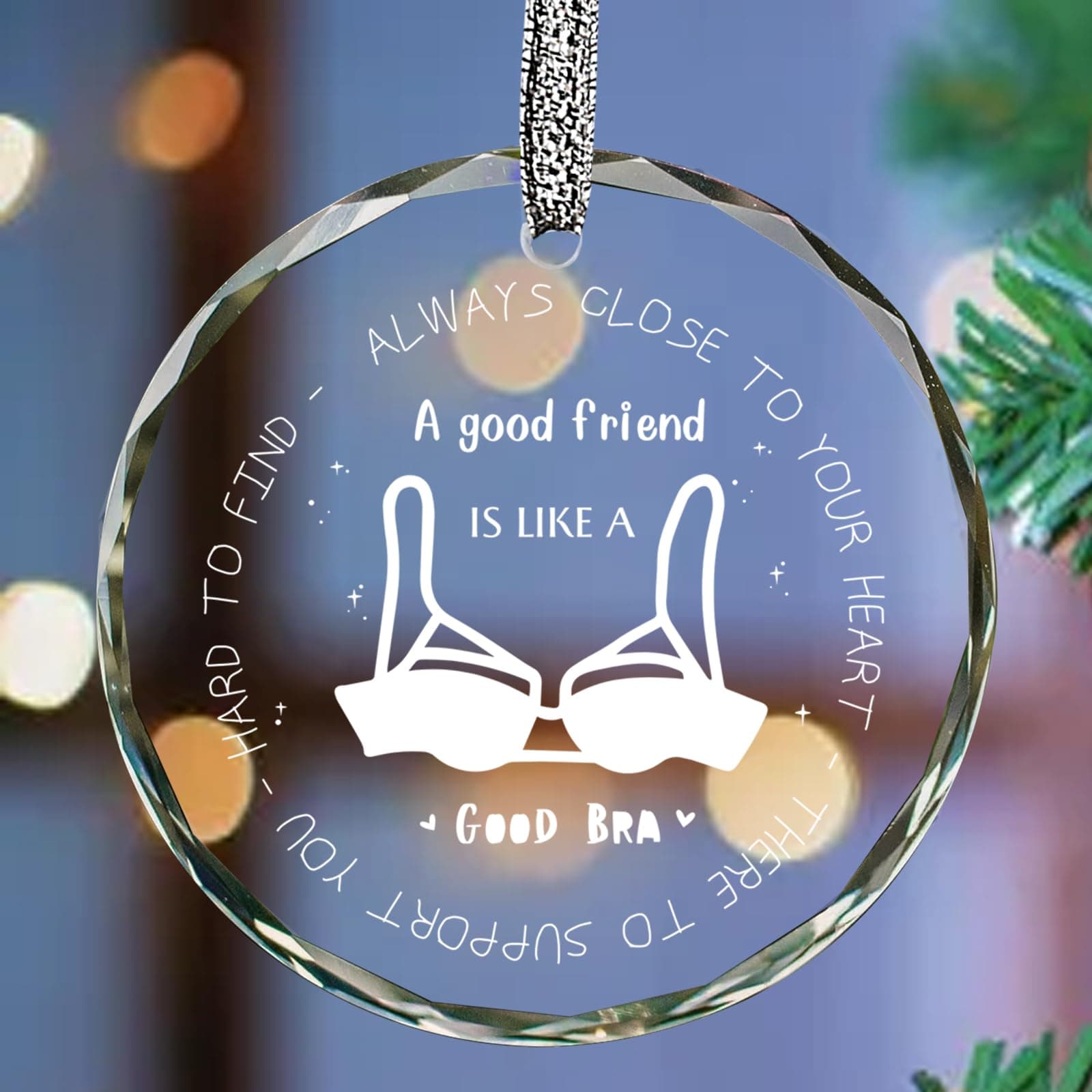Funny Gifts for Best Friends,Female Friends Ornaments 2023