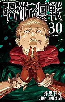 Jujutsu Kaisen 30 (Japanese Edition)