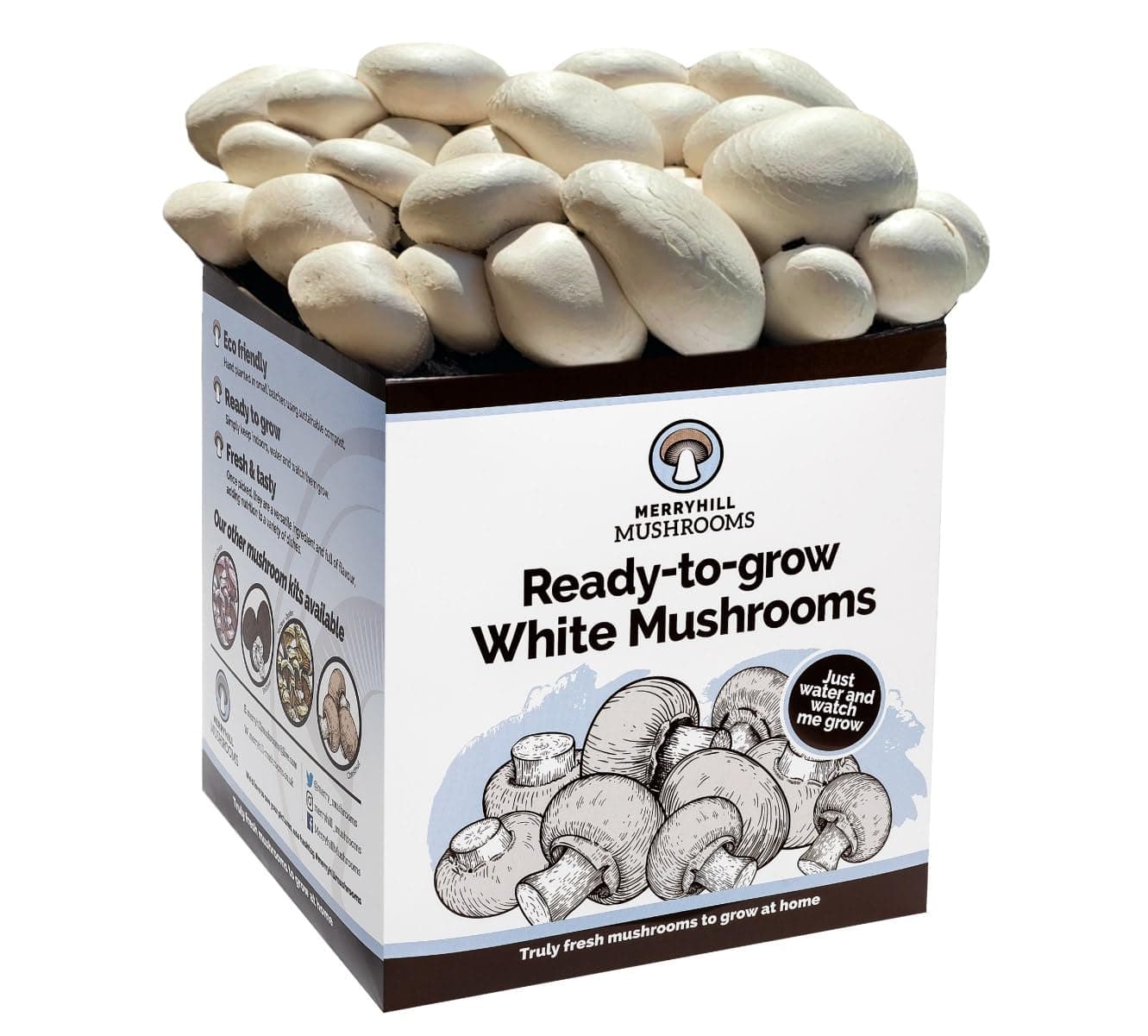 Fresh White Mushroom Growing Kit | Gardening Gifts for Women, Men & Kids | Grow Your Own | Easy & Delicious to Eat (One White Mushroom Grow Kit)
