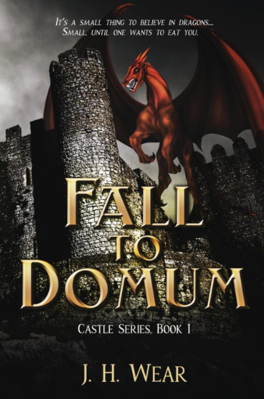 The Fall to Domum, Castle, Book 1 Paperback – 11 Sept. 2019