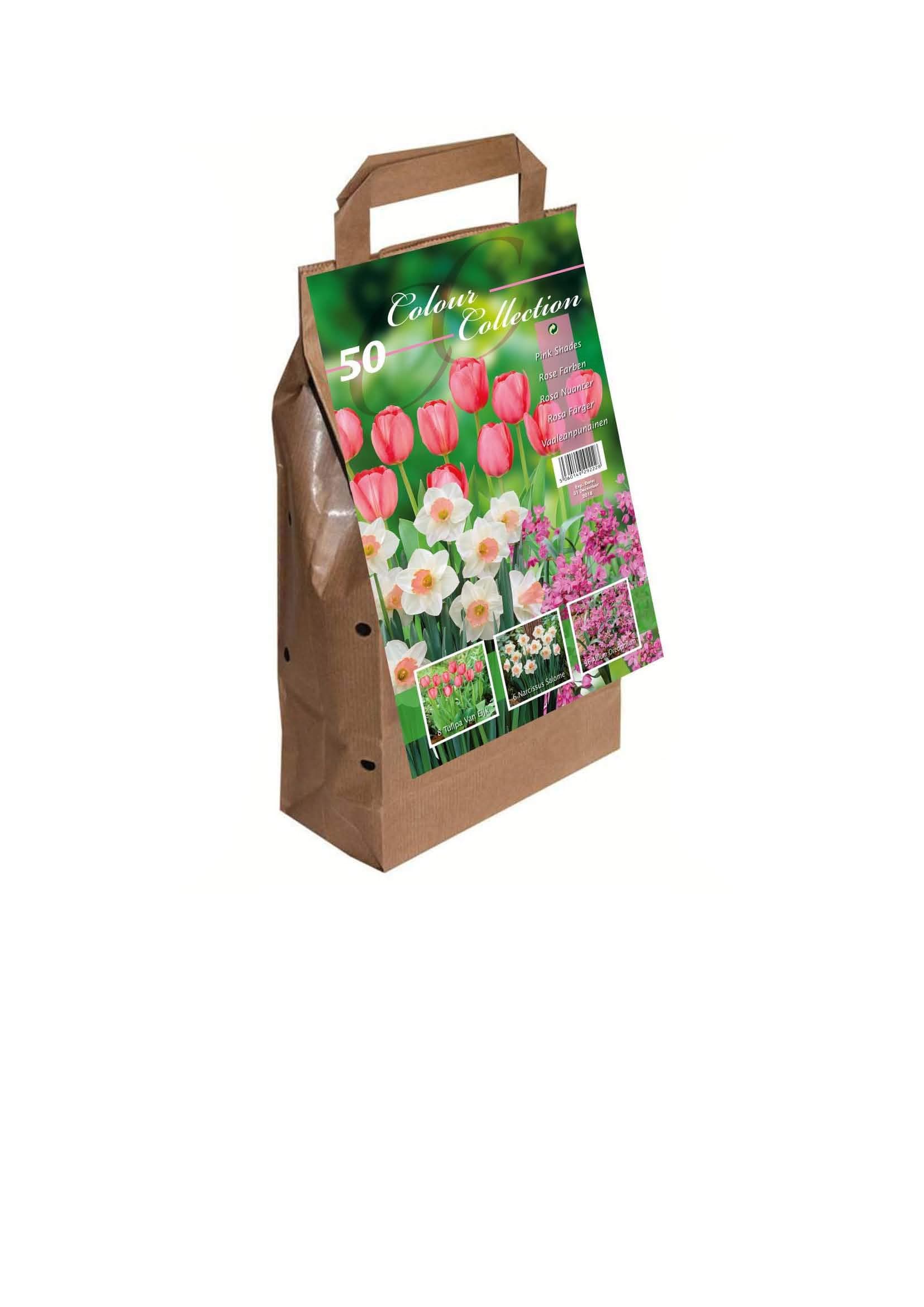 Colour Collection Spring Flower Bulbs - Pink (Pack of 50)