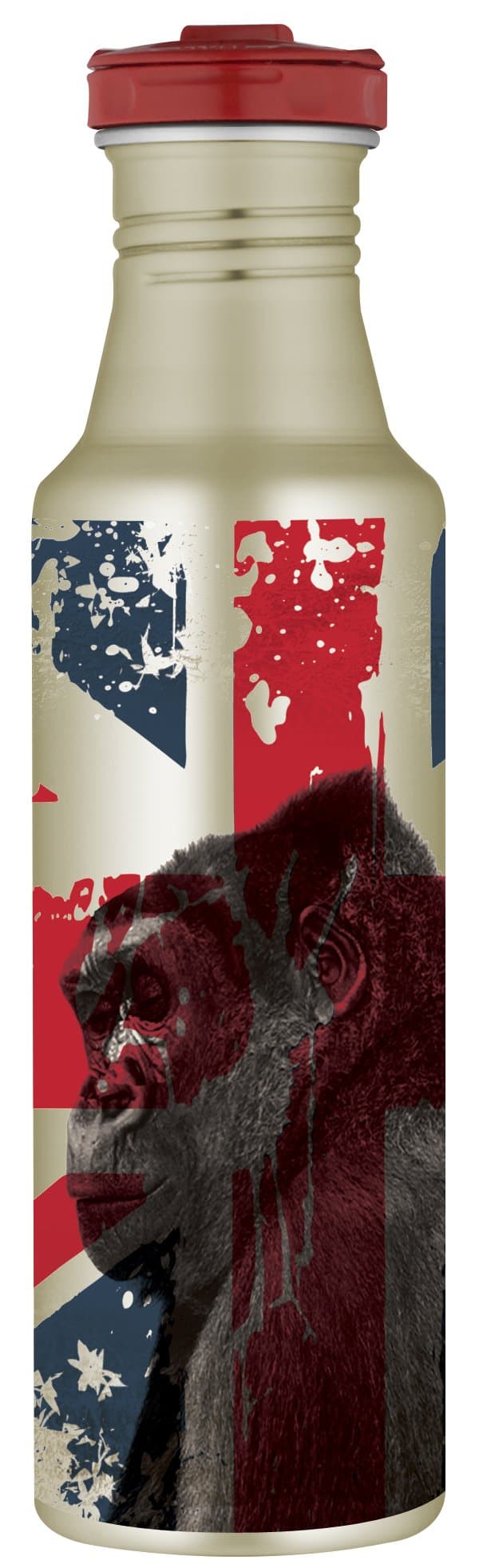 Thermos 24-Ounce ROHO Hydration Bottle, Brilliant