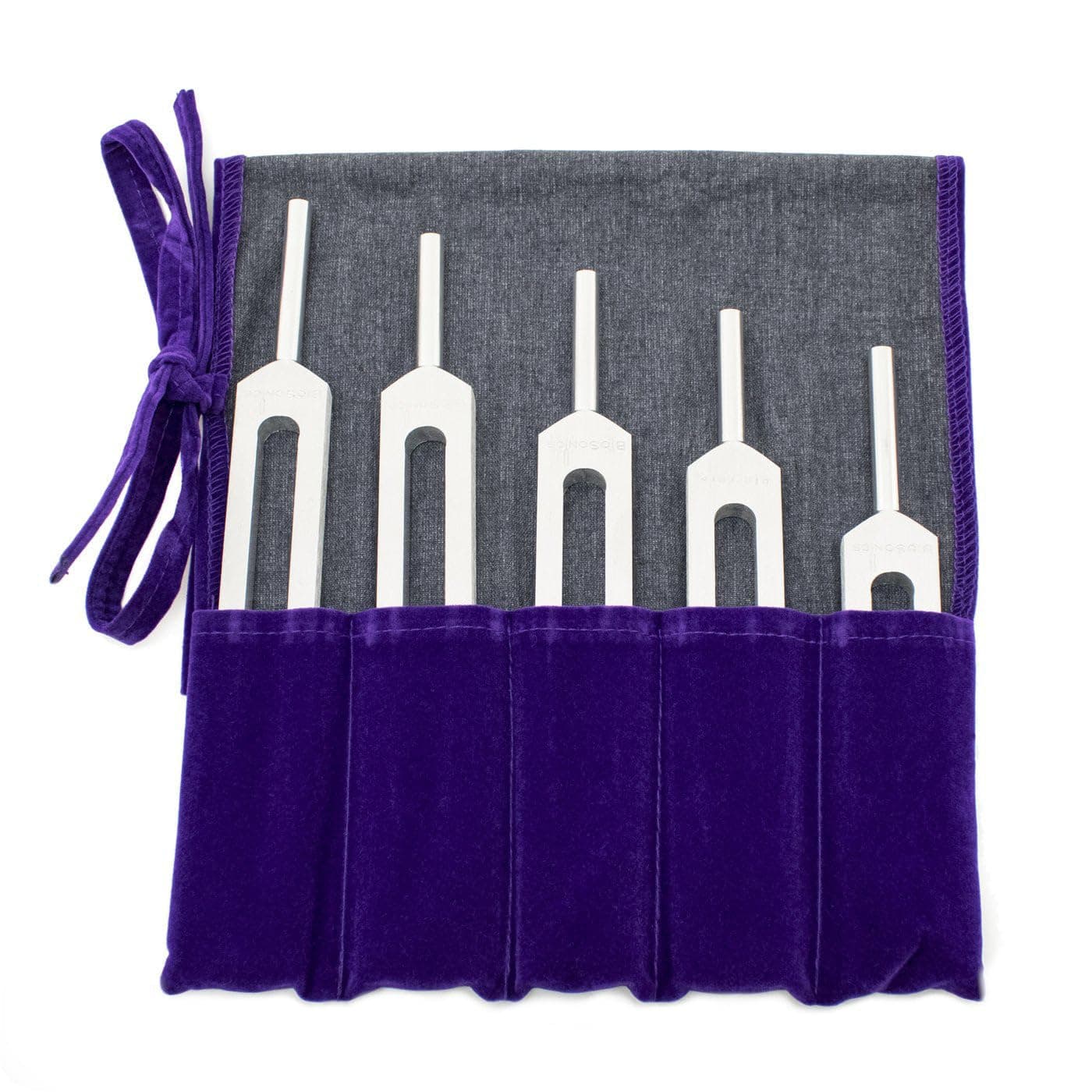 Biosonics Set of 5 Asteroid Tuning Forks - Includes 5 Tuning Forks, Pamphlet, & Velvet Pouch/Tuned According to the Frequencies of the Asteroids of Our Solar System