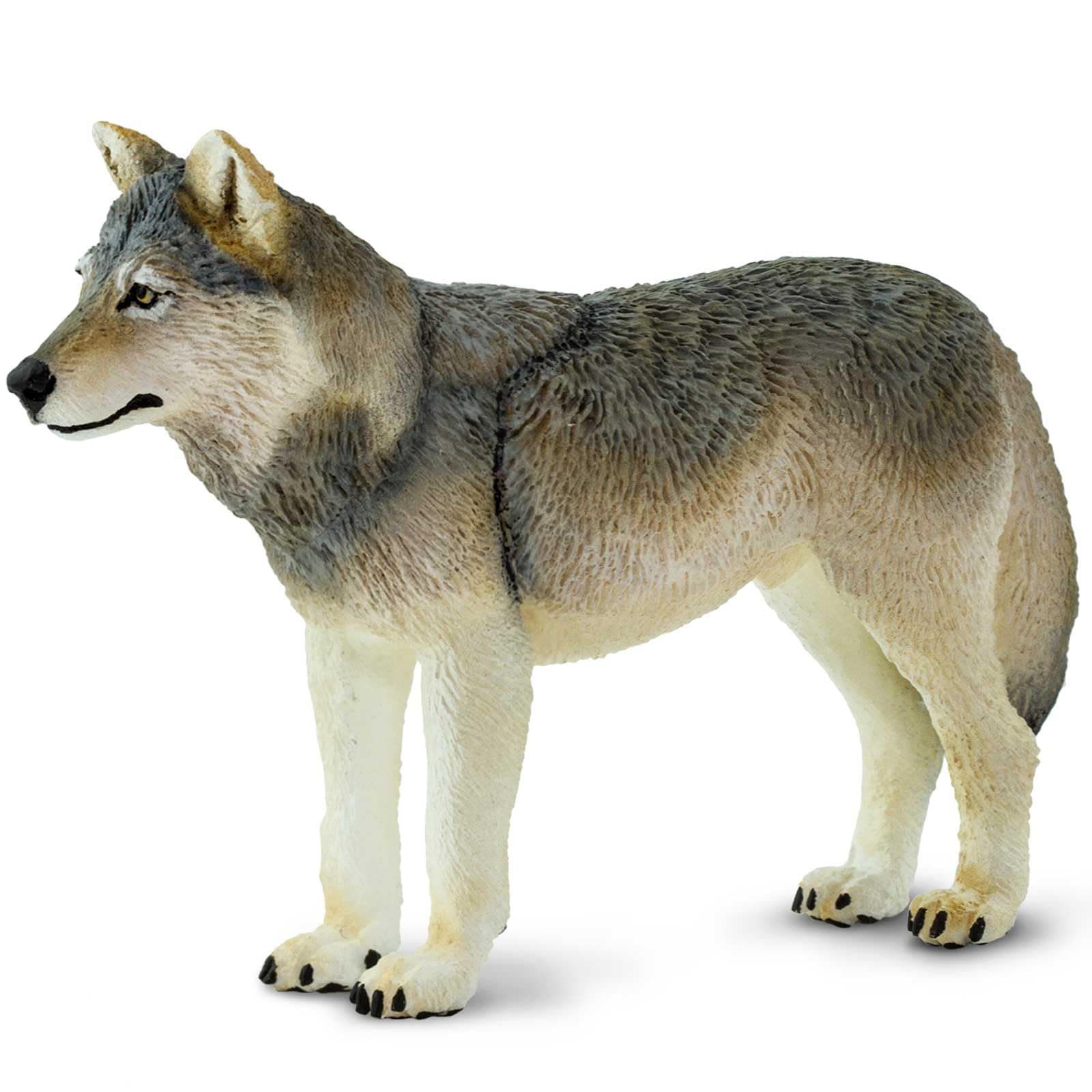 Safari Ltd. 100509 Grey Wolf