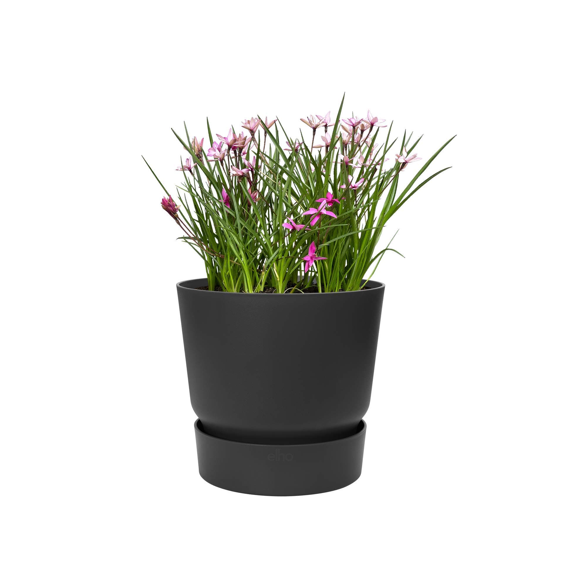 elho Greenville Round 25 - Plant Pot for Indoor & Outdoor - 100% Recycled Plastic - Ø 24.5 x H 23.3 cm - Black/Living Black