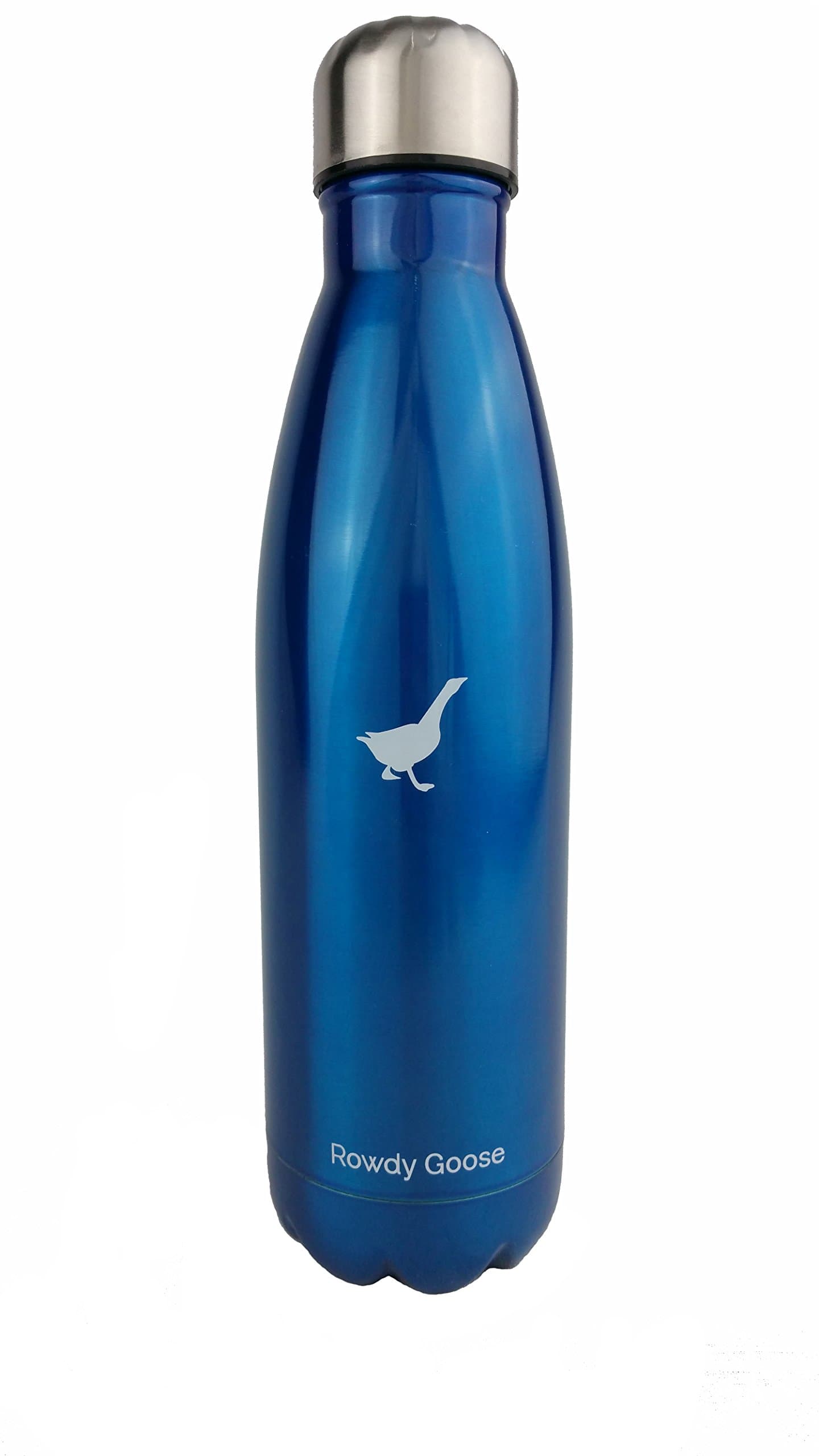 Rowdy Goose 17 oz. Insulated Stainless Steel Water Bottle (Blue)