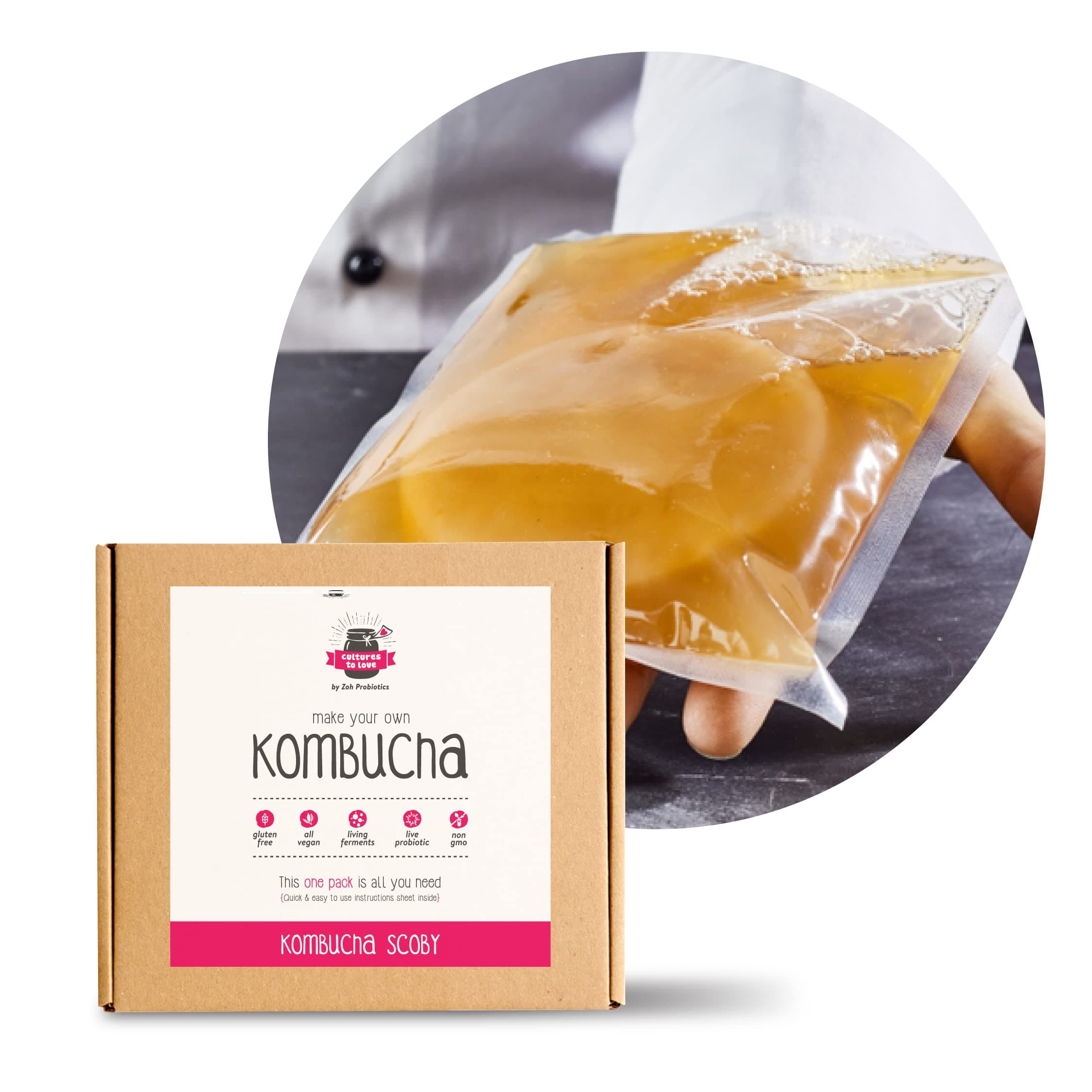 Kombucha SCOBY