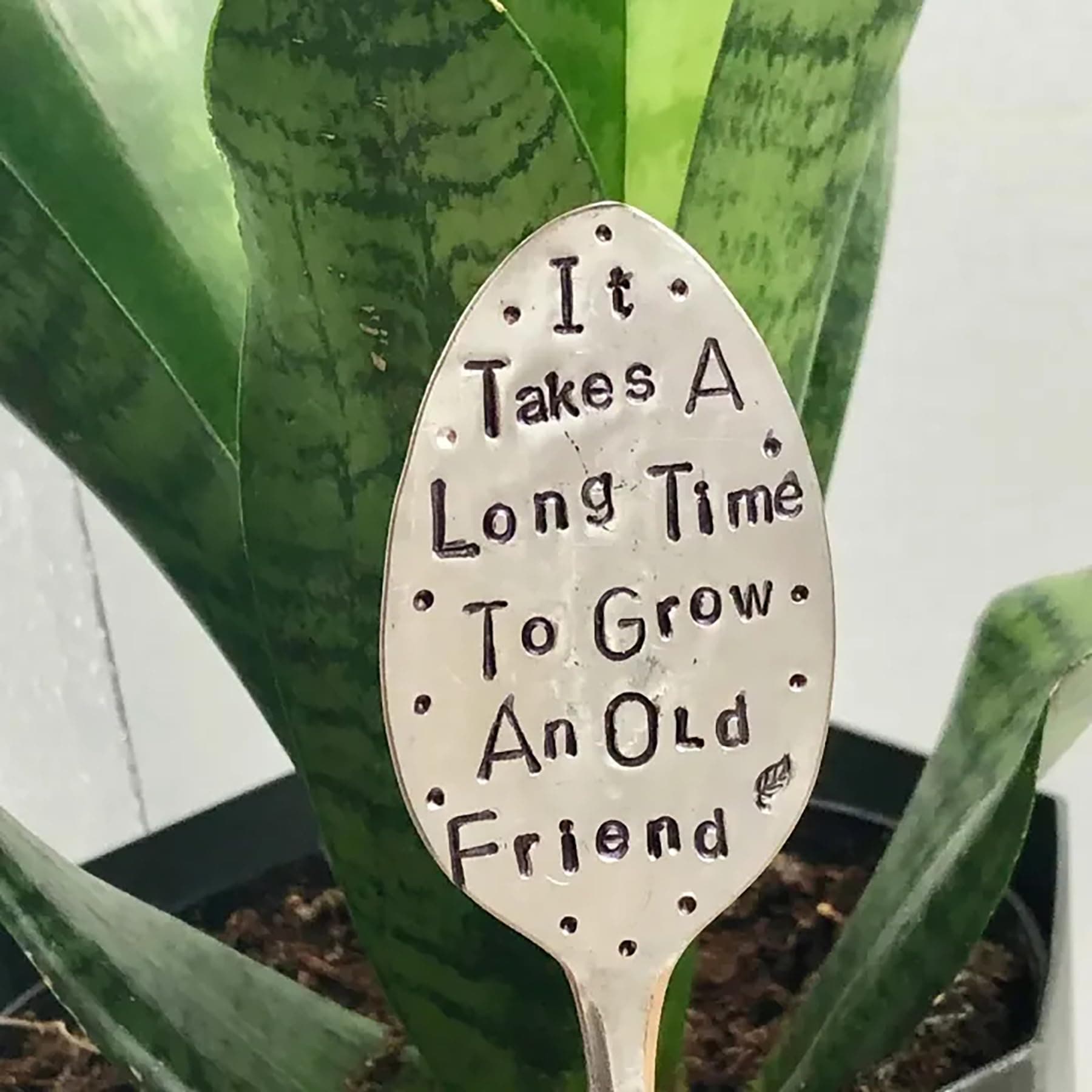 Garden Marker Friendship Gift Silver Stamped Spoon Plant Labels Garden Metal DIY Decorative Sign Plant Markers for Herbs, Flowers, Vegetable and Potted Plants （Ribbon not Included） (Old Friend)