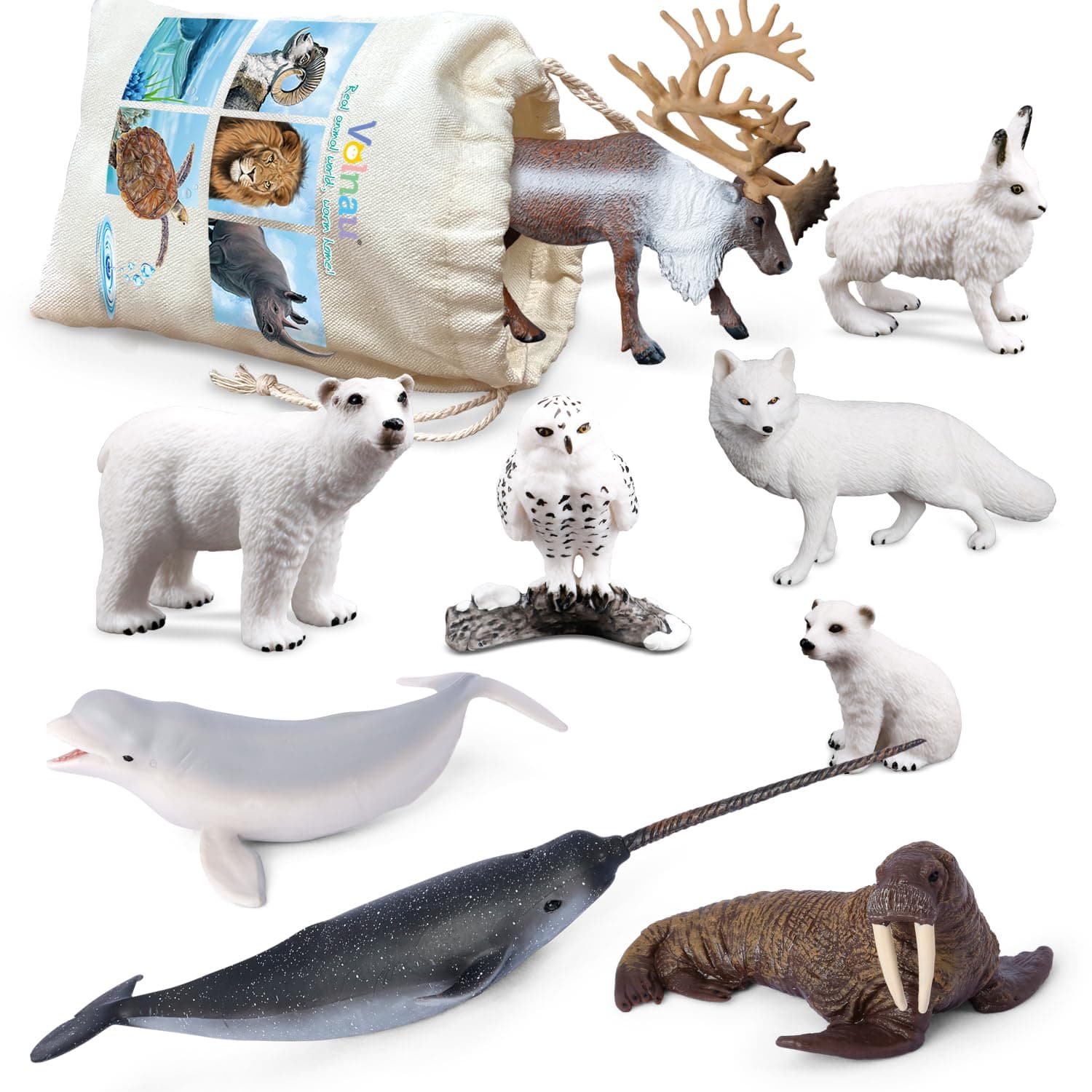 Volnau Sea Creature Toys Figures 9PCS Arctic Circle Ocean Animals Figurines for Toddlers Kids Christmas Decoration Gift Plastic Fish Preschool Pack and Bath Polar Bear Set