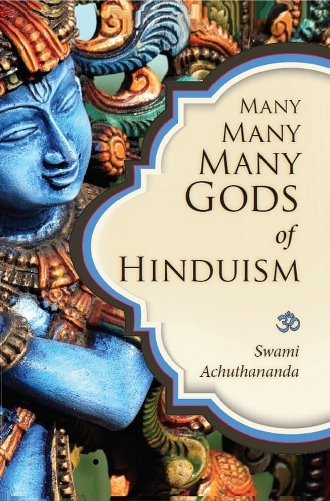 Many Many Many Gods of Hinduism: Culture, Concepts, Controversies Kindle Edition