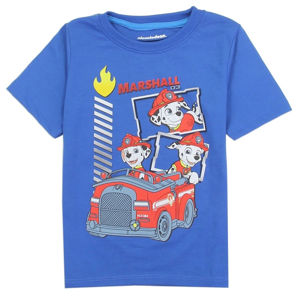 Paw Patrol Toddler Little Boys Marshall 03 T-Shirt (Royal Blue, 2T)