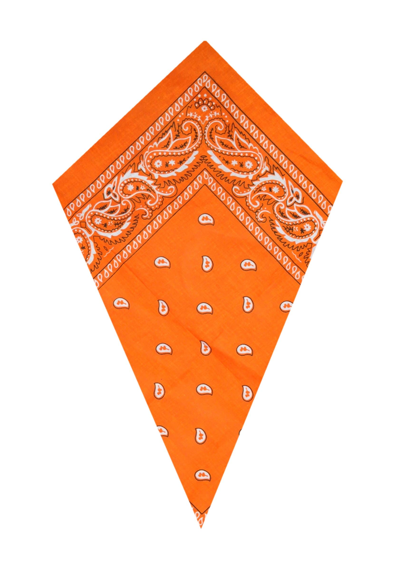 Bandanas Orange Paisley Head Scarf