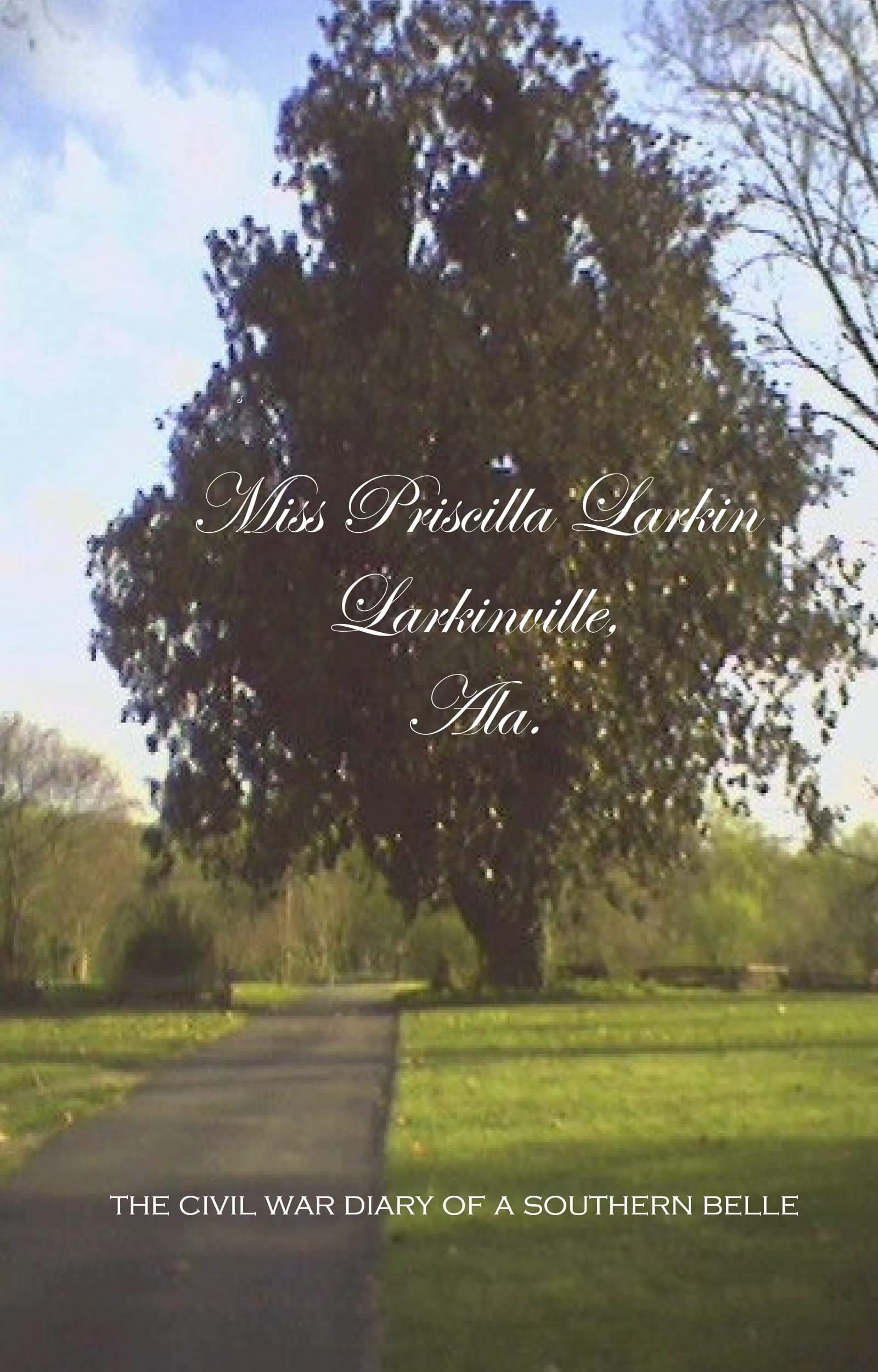 Miss Priscilla Larkin, Larkinville, Ala. : The Civil War Diary of a Southern Belle