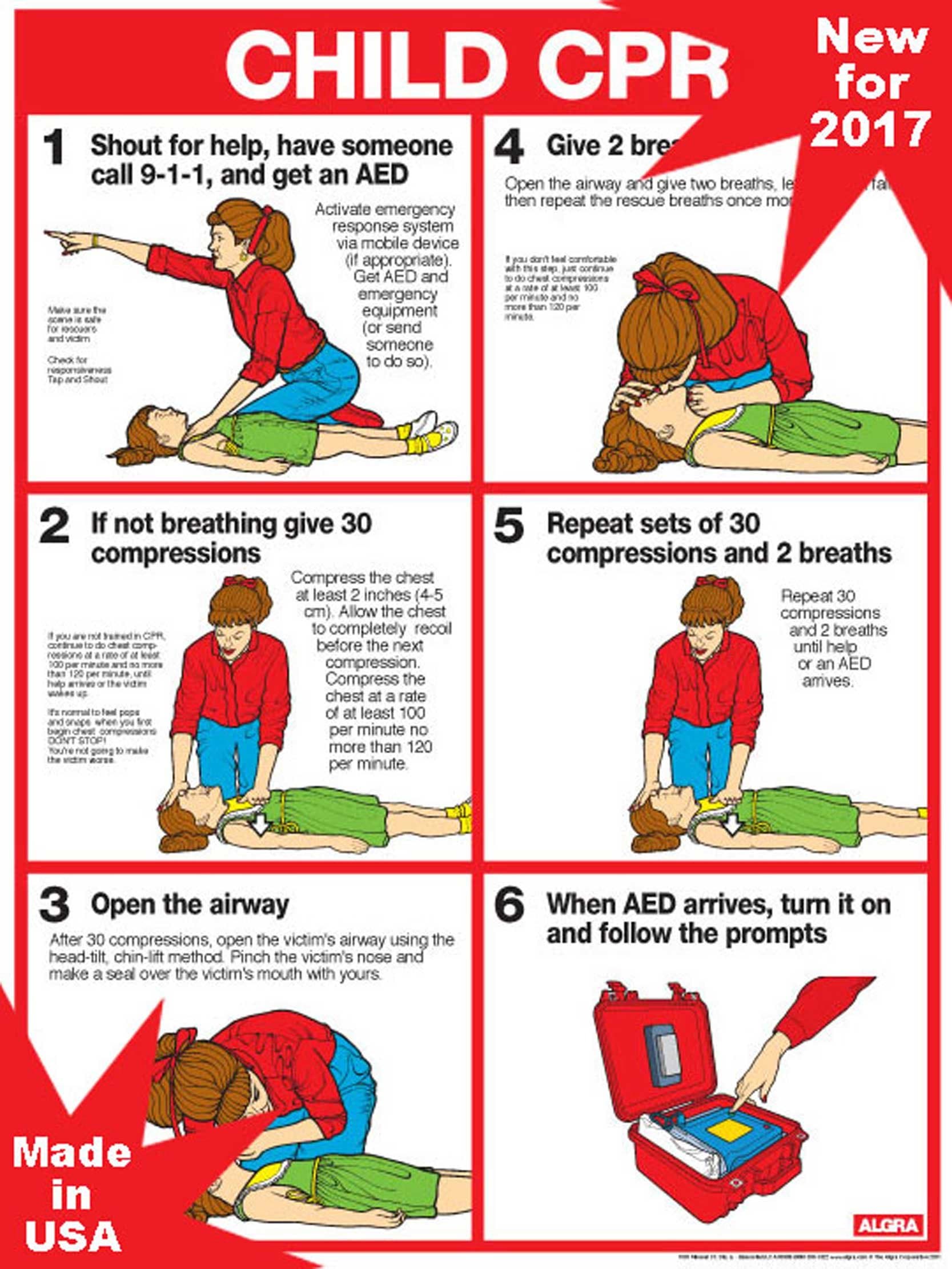 CPR for Children 18" X 24" Laminated Poster - 2011