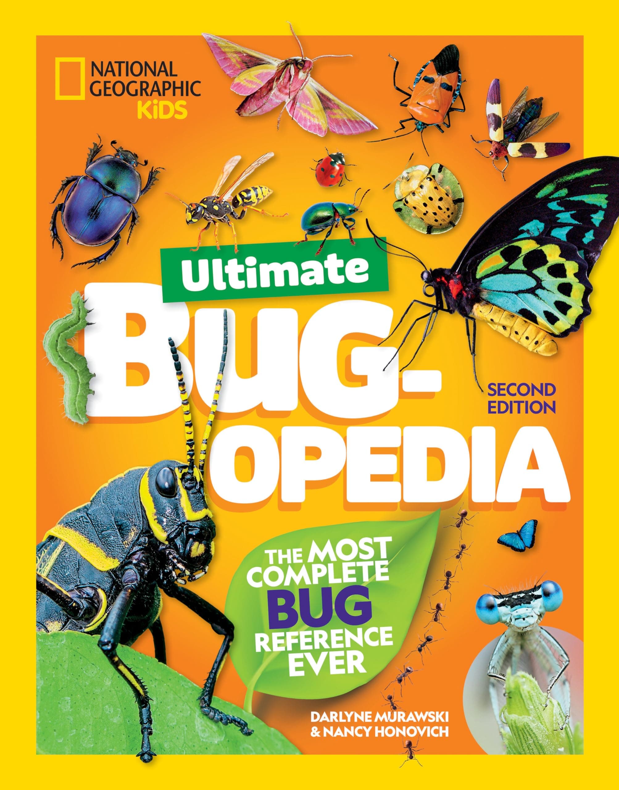 Ultimate Bugopedia (2nd Edition): The Most Complete Bug Reference Ever (National Geographic Kids) (Ngk Ultimate Pedias) Hardcover – 9 May 2024