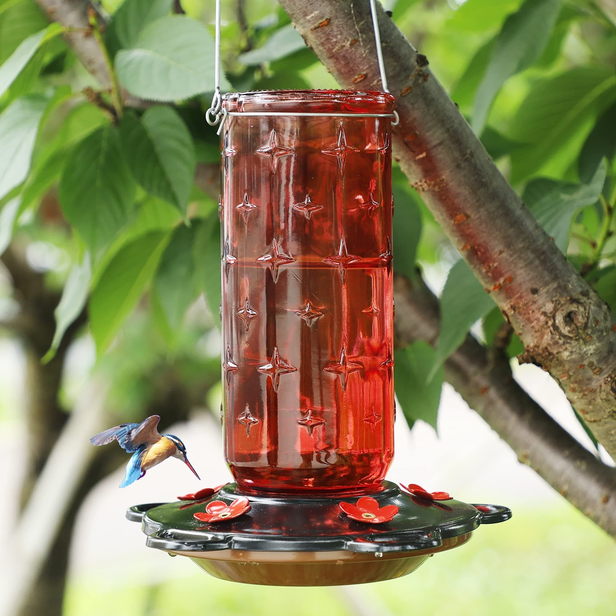 FORUP 32 Ounces Glass Hummingbird Feeders for Outdoors, Hanging Wild Bird Feeder for Outdoor Garden Tree Yard Outside Decoration, Red