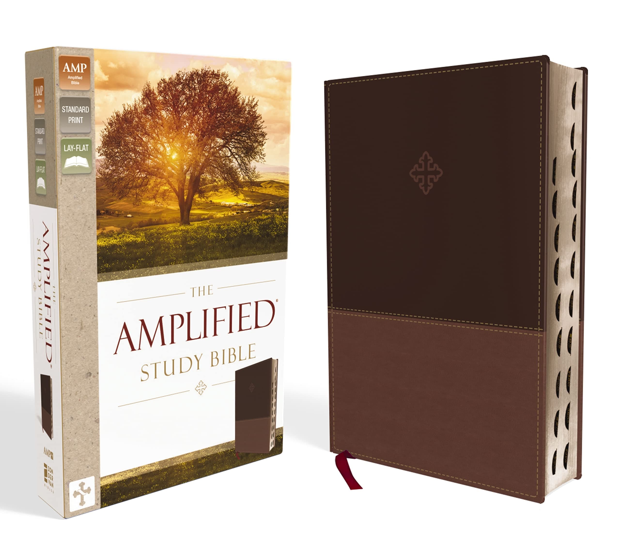 Holy Bible: Amplified Study Bible, Brown, Imitation Leather, Ribbon Marker, Large Print Imitation Leather – Large Print, February 21, 2017