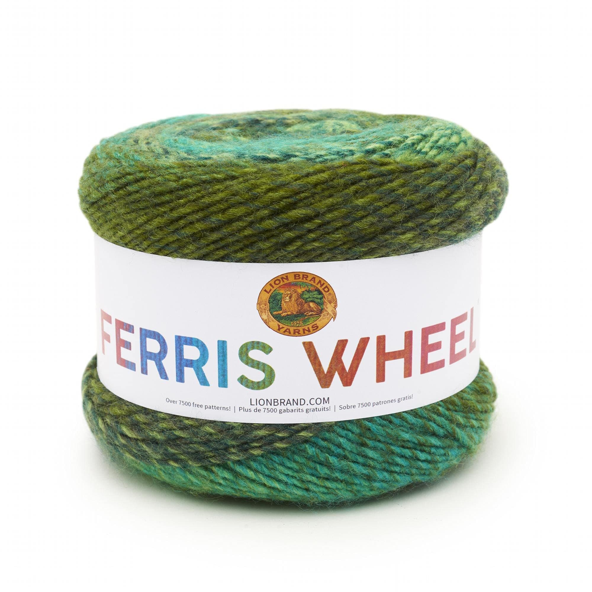 Lion Brand Yarn Company 217-603 Ferris Wheel Yarn, Evergreen, One Skein