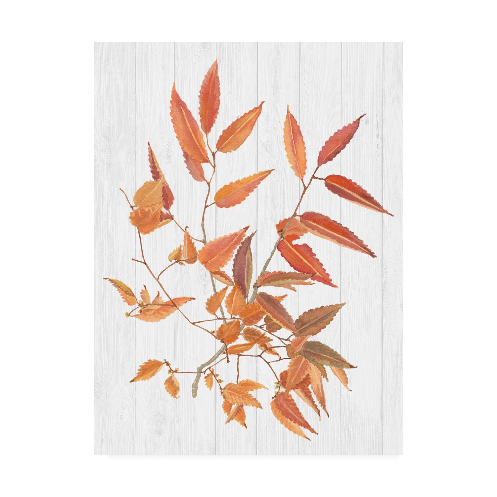 Trademark Fine Art Sweet Foliage I by Dianne Miller, 14x19